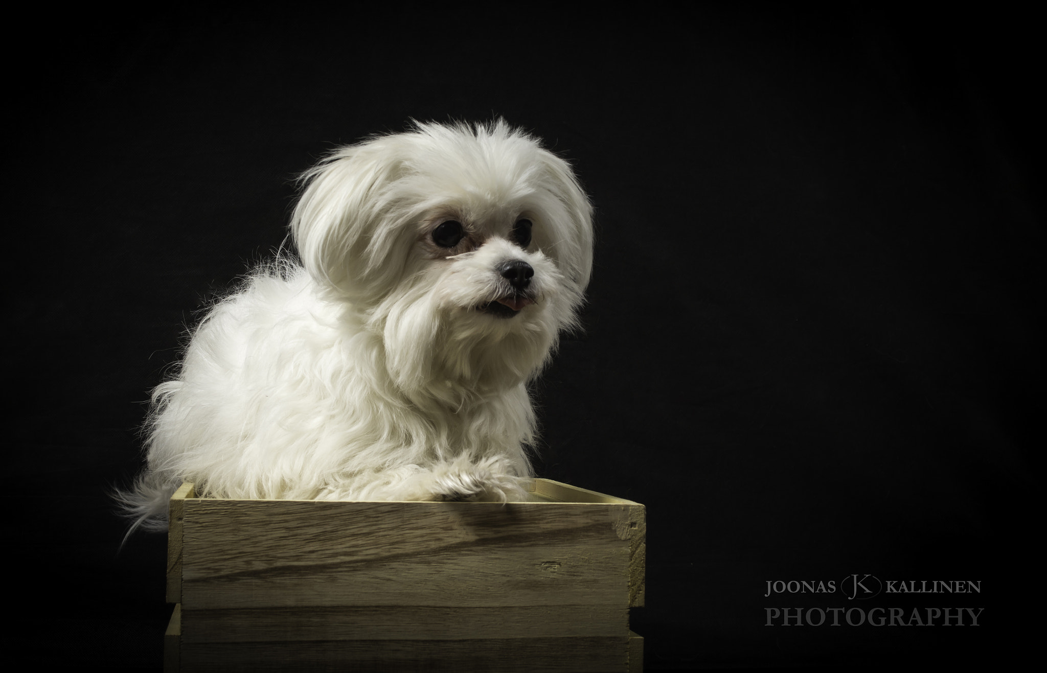Nikon AF-S Nikkor 28-70mm F2.8 ED-IF sample photo. Nipsu photography