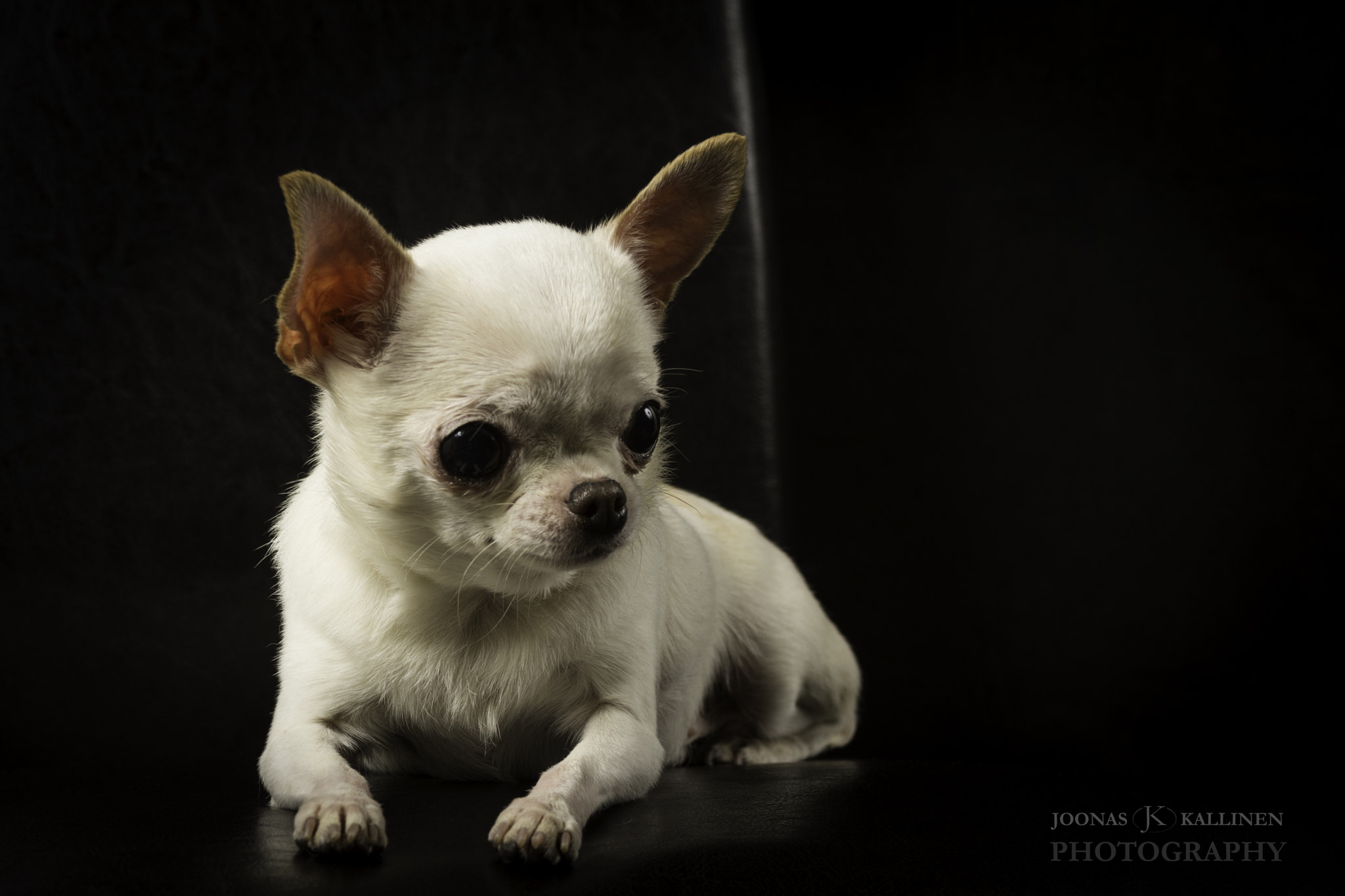 Nikon AF-S Nikkor 28-70mm F2.8 ED-IF sample photo. Mirkku photography