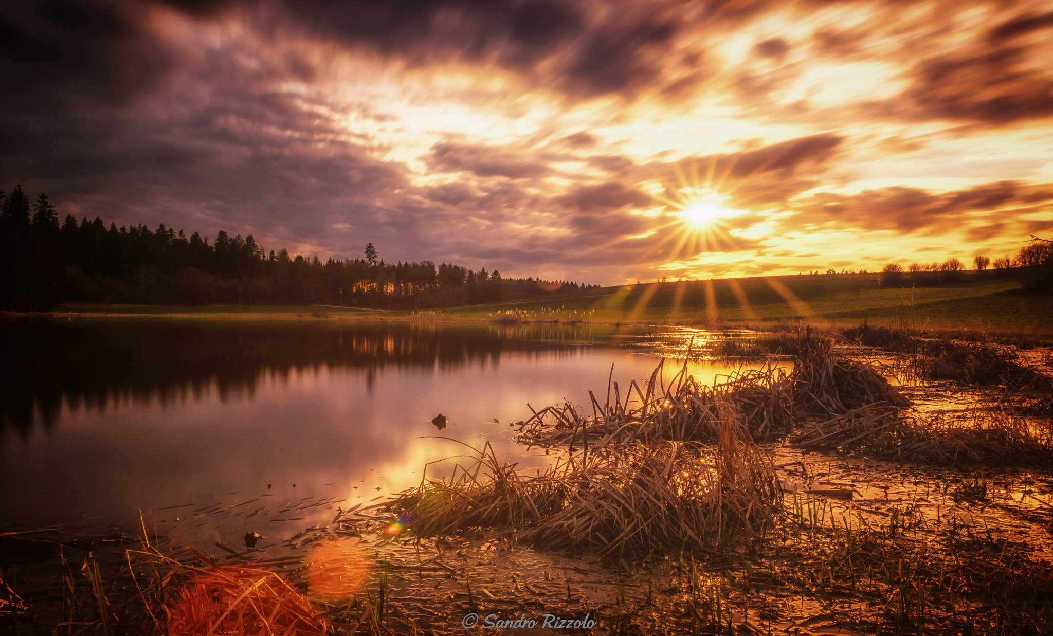 Nikon D750 + Sigma 18-35mm F1.8 DC HSM Art sample photo. Golden photography