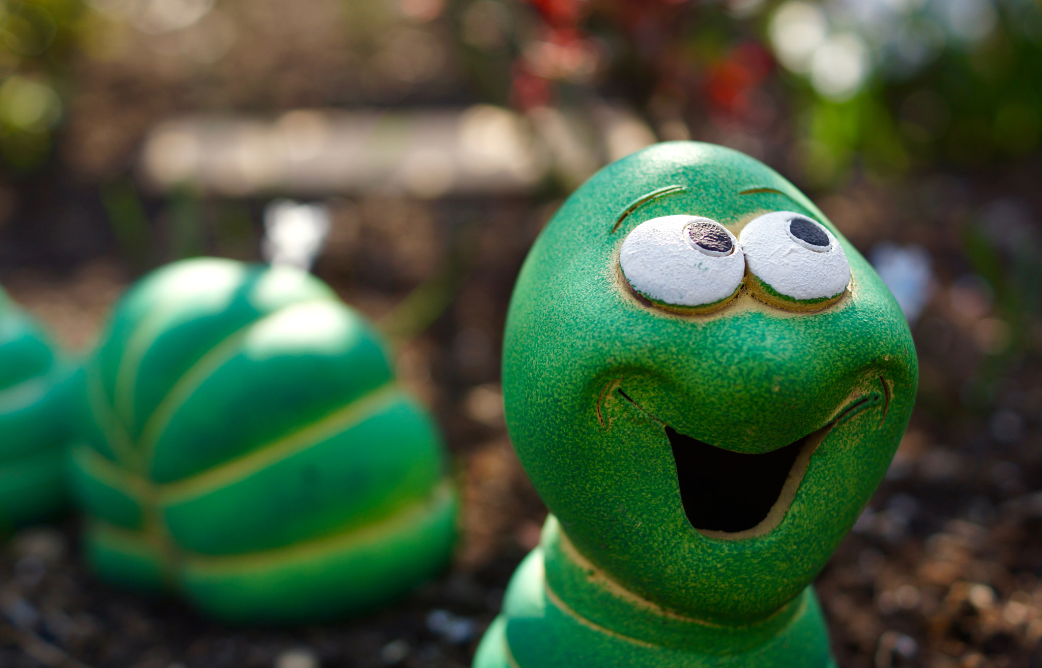 Sony SLT-A77 + Sony DT 35mm F1.8 SAM sample photo. Earthworm... jim??? photography