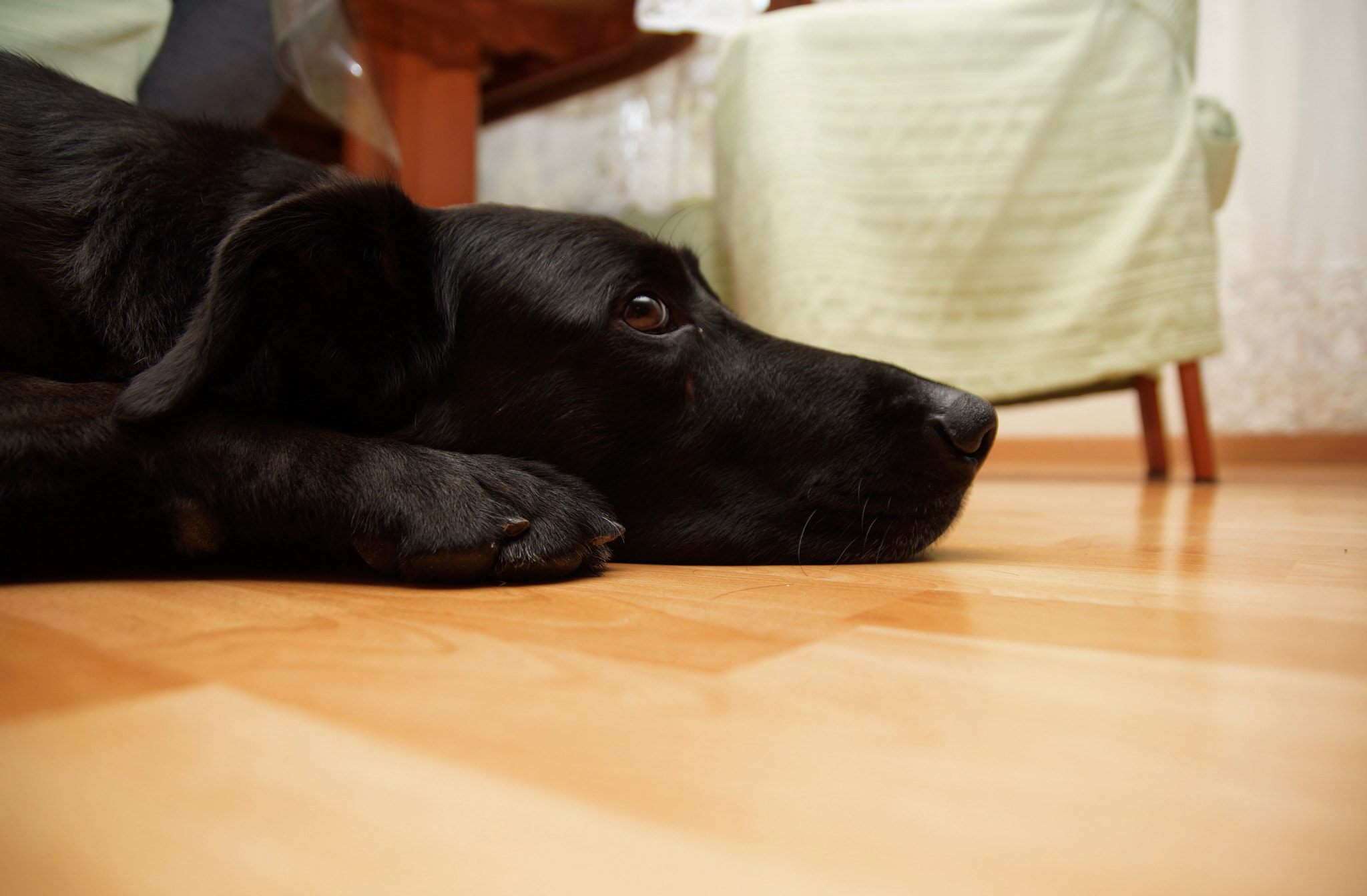 Sony SLT-A77 sample photo. Watcha thinkin' bout? photography