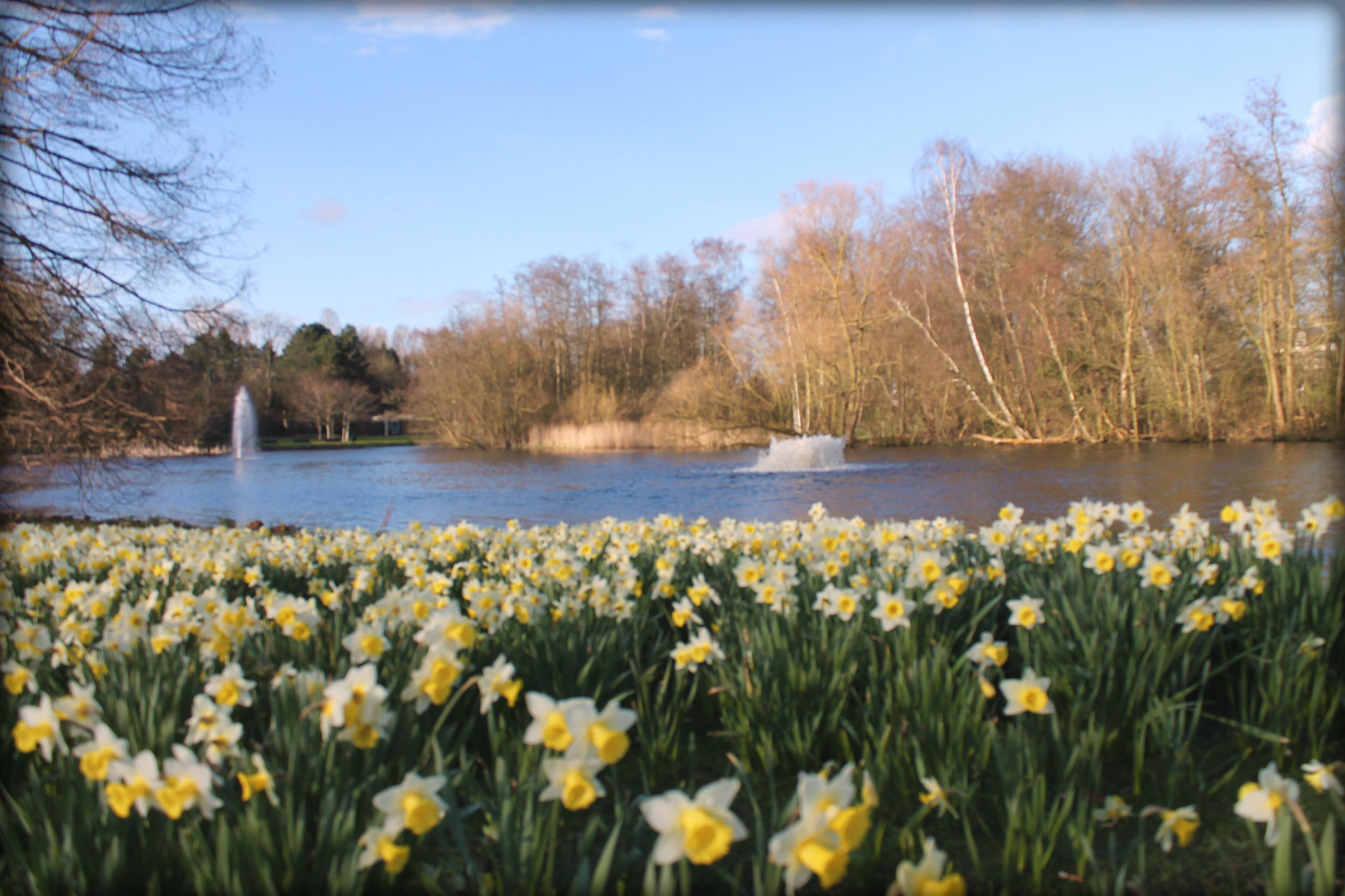 Canon EF-S 18-55mm F3.5-5.6 IS sample photo. Amstelpark garden photography