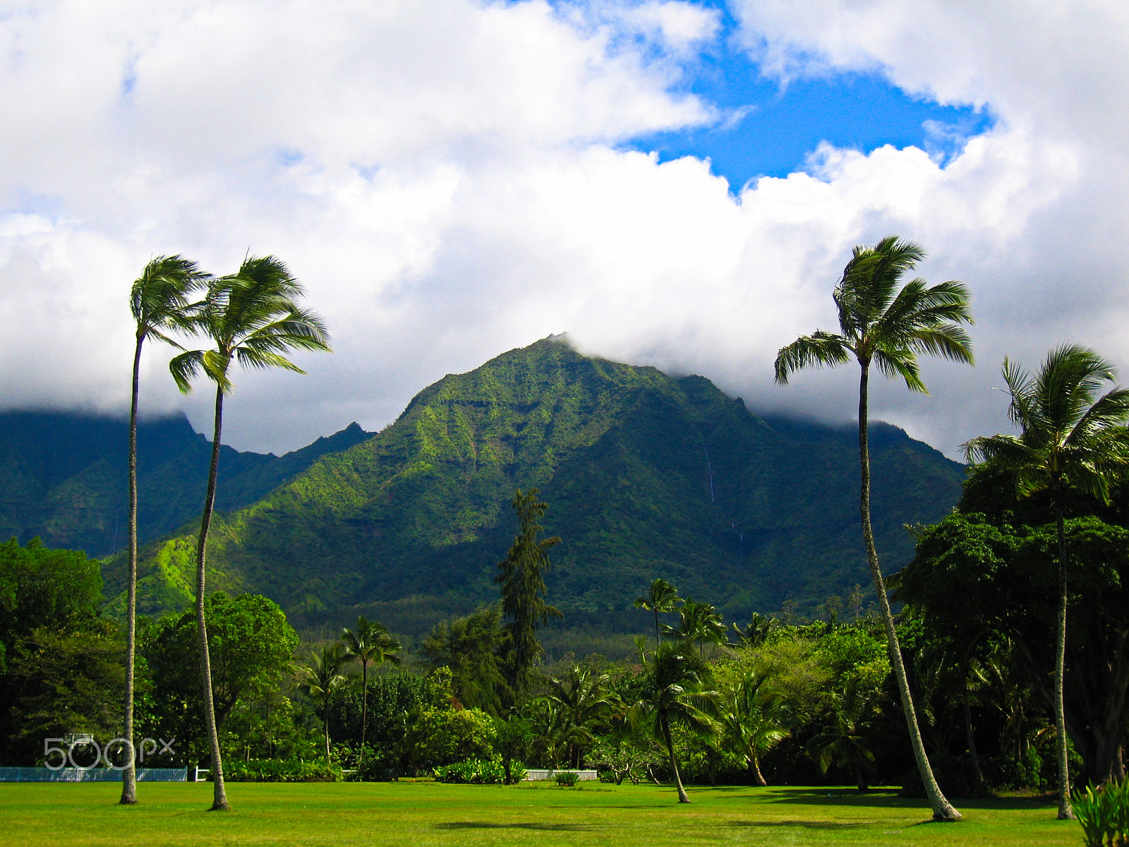 Canon POWERSHOT S70 sample photo. Kaua'i photography