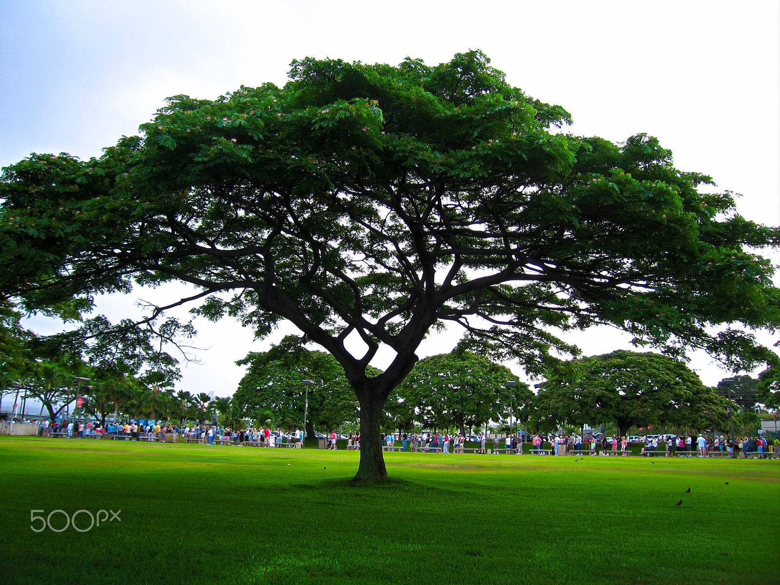 Canon POWERSHOT S70 sample photo. Uss az line photography