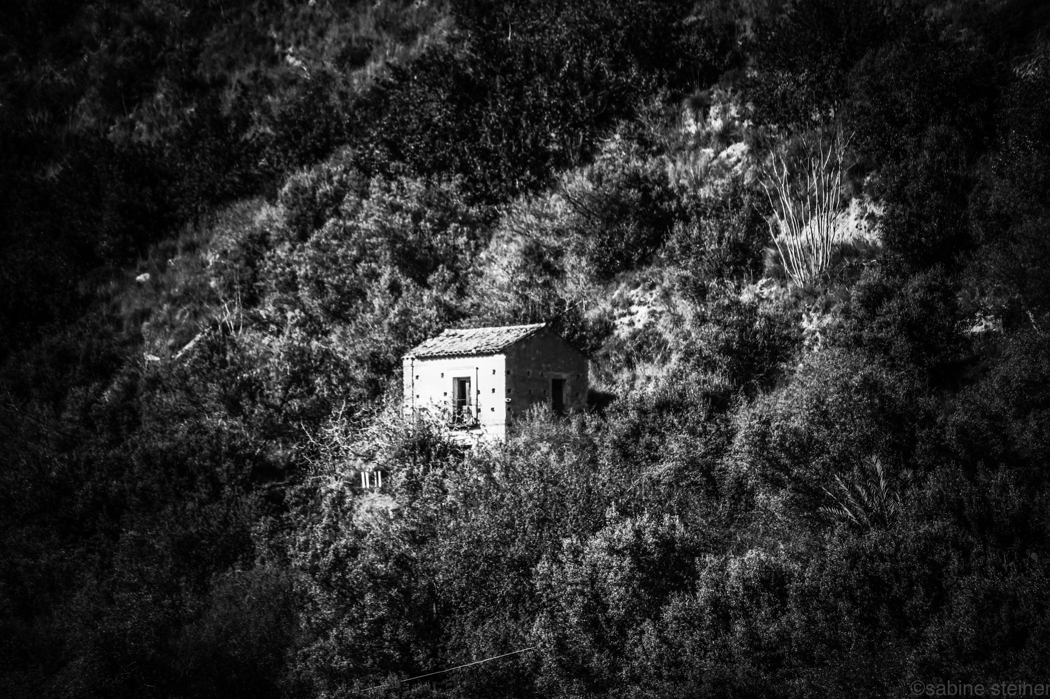 Canon EF 70-300mm F4-5.6 IS USM sample photo. Home in 'heart' photography