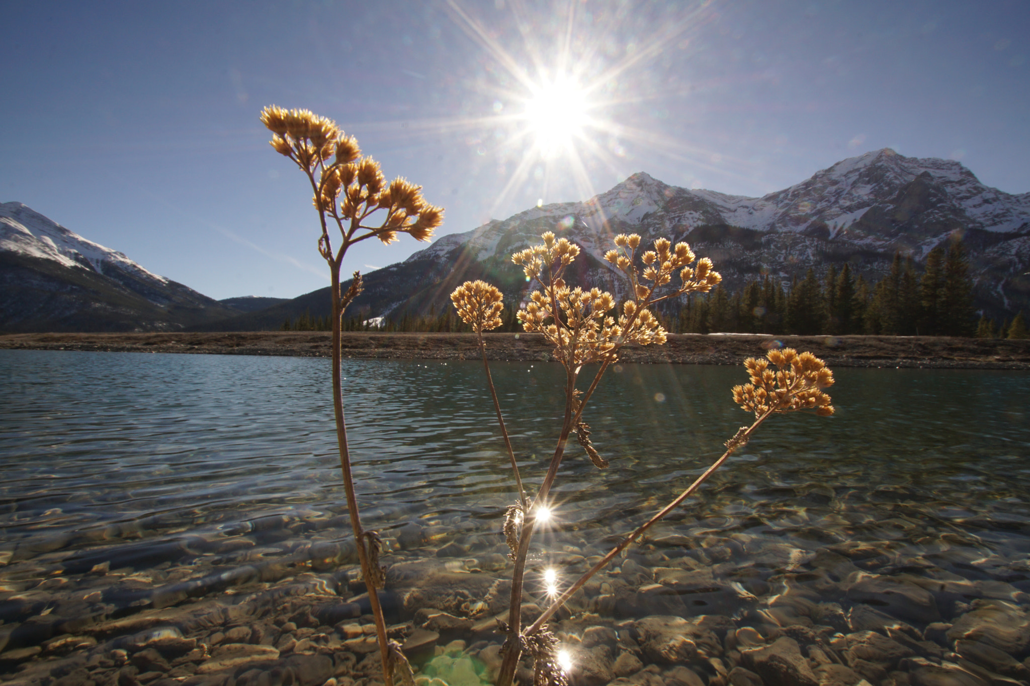 Sony ILCA-77M2 + DT 10-24mm F3.5-4.5 SAM sample photo. The first taste of spring photography
