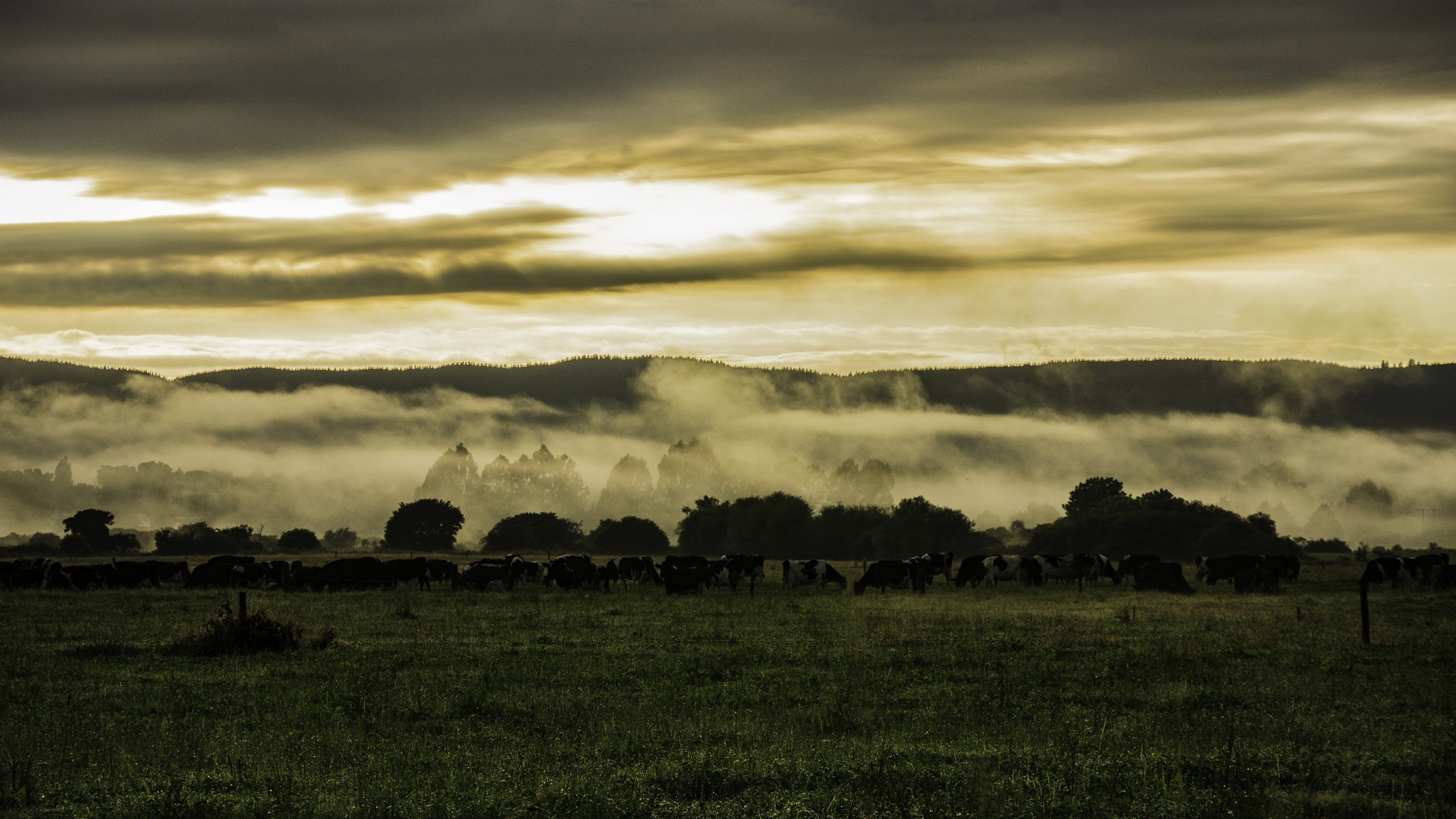 Nikon 1 Nikkor VR 30-110mm F3.8-5.6 sample photo. Foggy new zealand morning photography