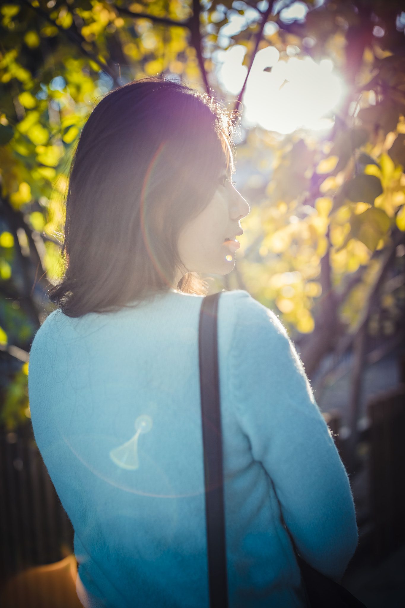Canon EF 35mm F1.4L II USM sample photo. Daisy photography