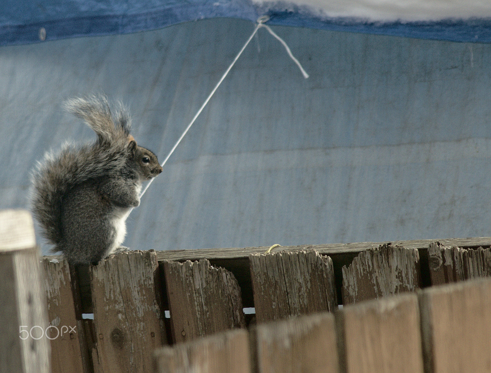 AF Zoom-Nikkor 80-200mm f/4.5-5.6D sample photo. Hold on 'til spring photography