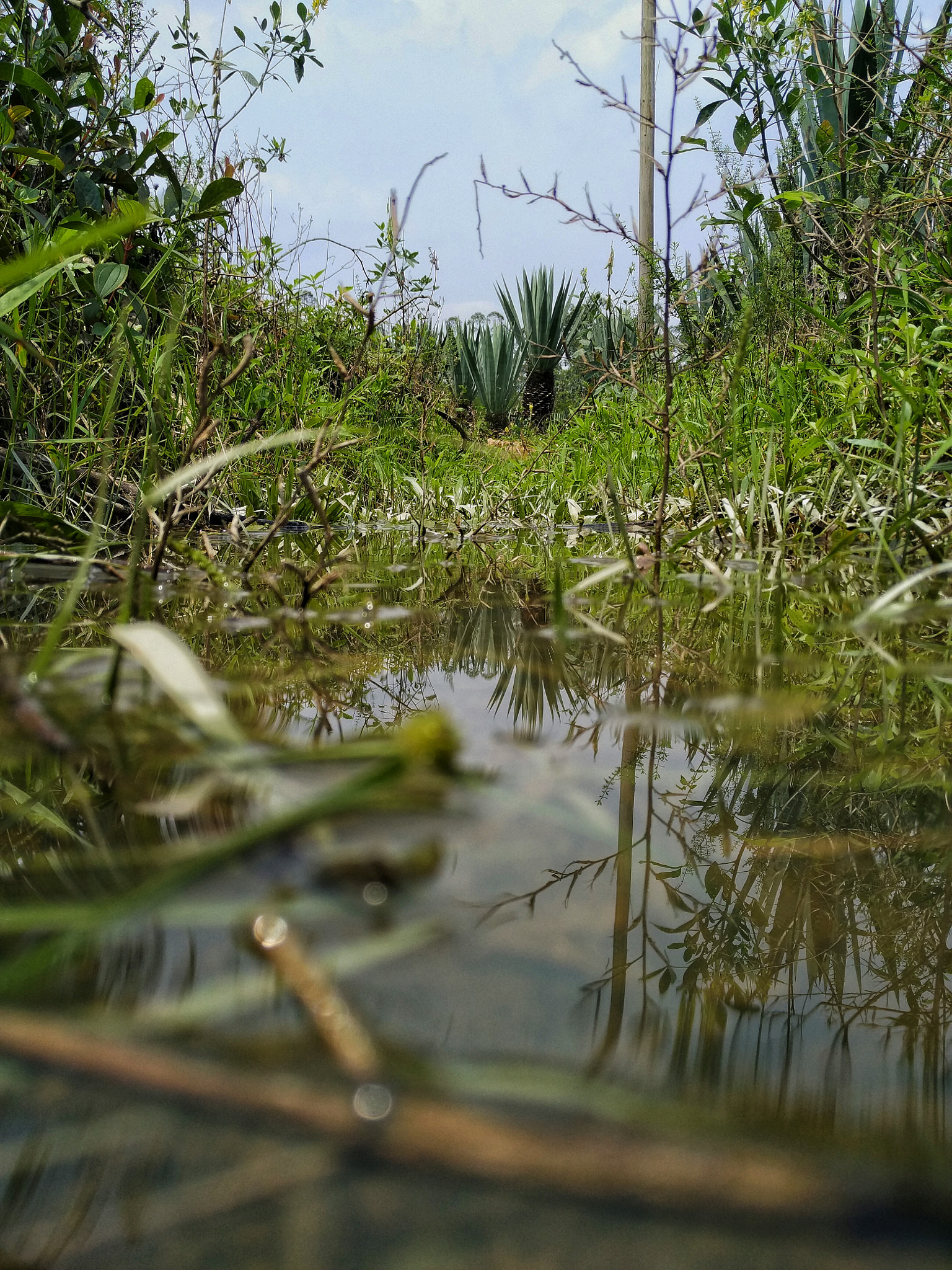 Xiaomi MI NOTE Pro sample photo