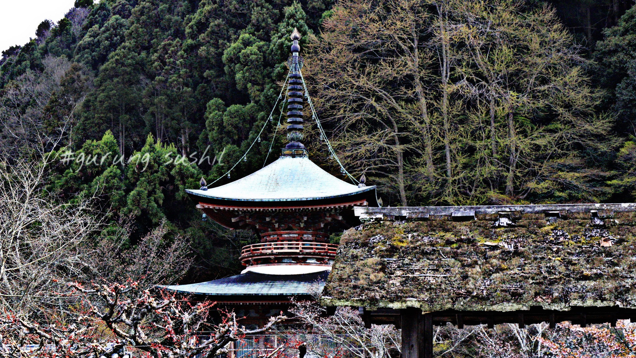 Canon EF-S 55-250mm F4-5.6 IS II sample photo. Kyoto,arashiyama,japan photography