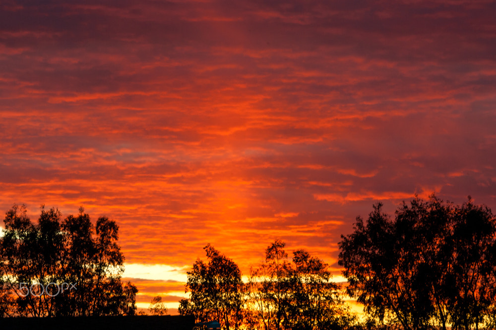 Canon EF 80-200mm f/2.8L sample photo. On fire photography