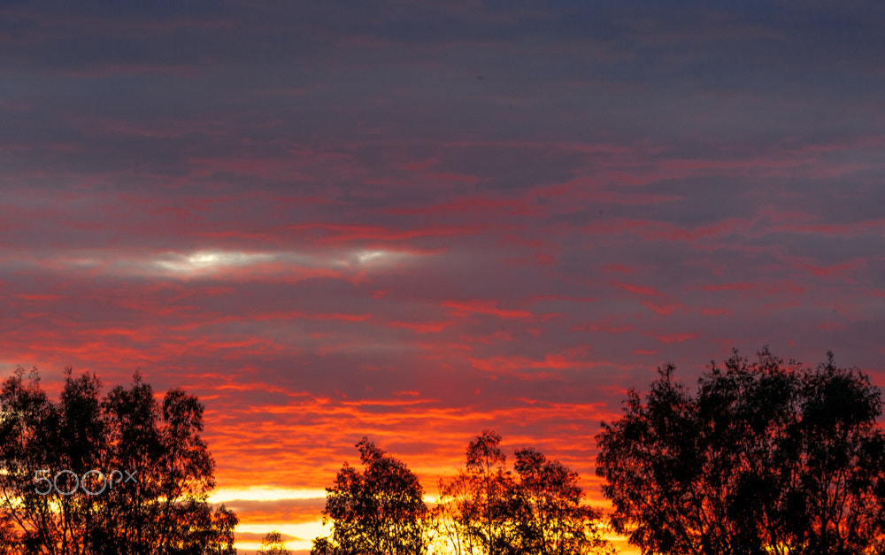 Canon EF 80-200mm f/2.8L sample photo. On fire photography