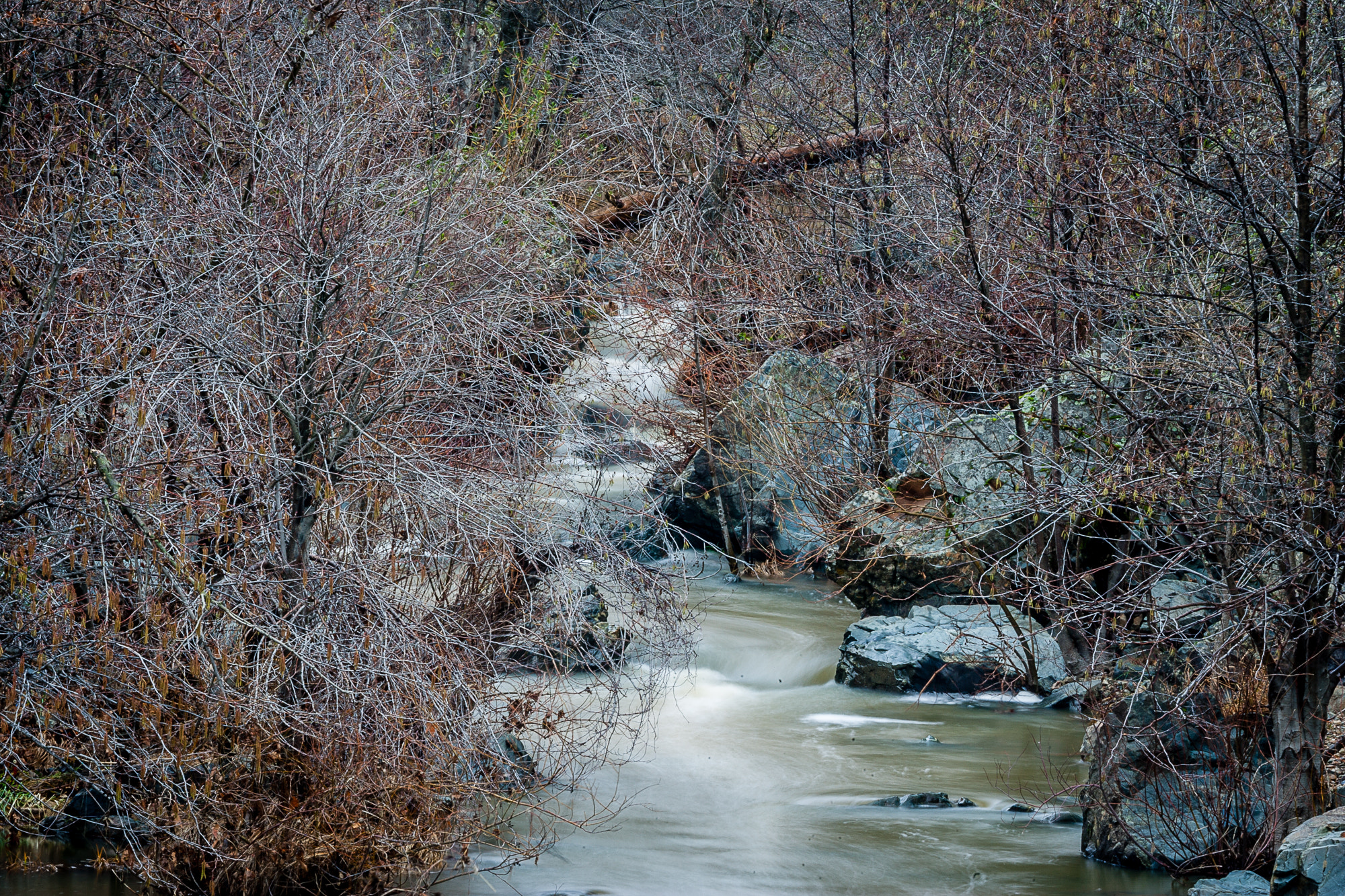 Canon EF 80-200mm f/2.8L sample photo. Ne5z9904.jpg photography
