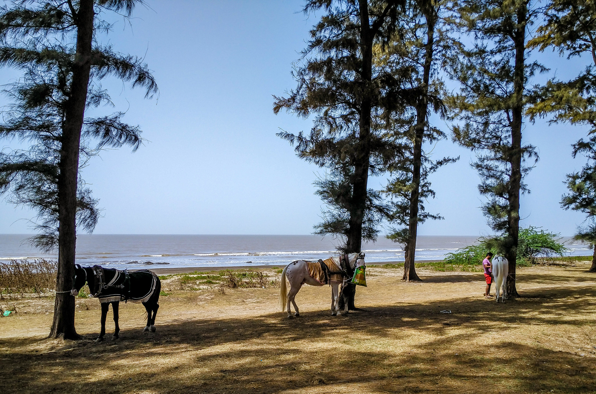 Xiaomi Mi 4i sample photo. Lunch time photography