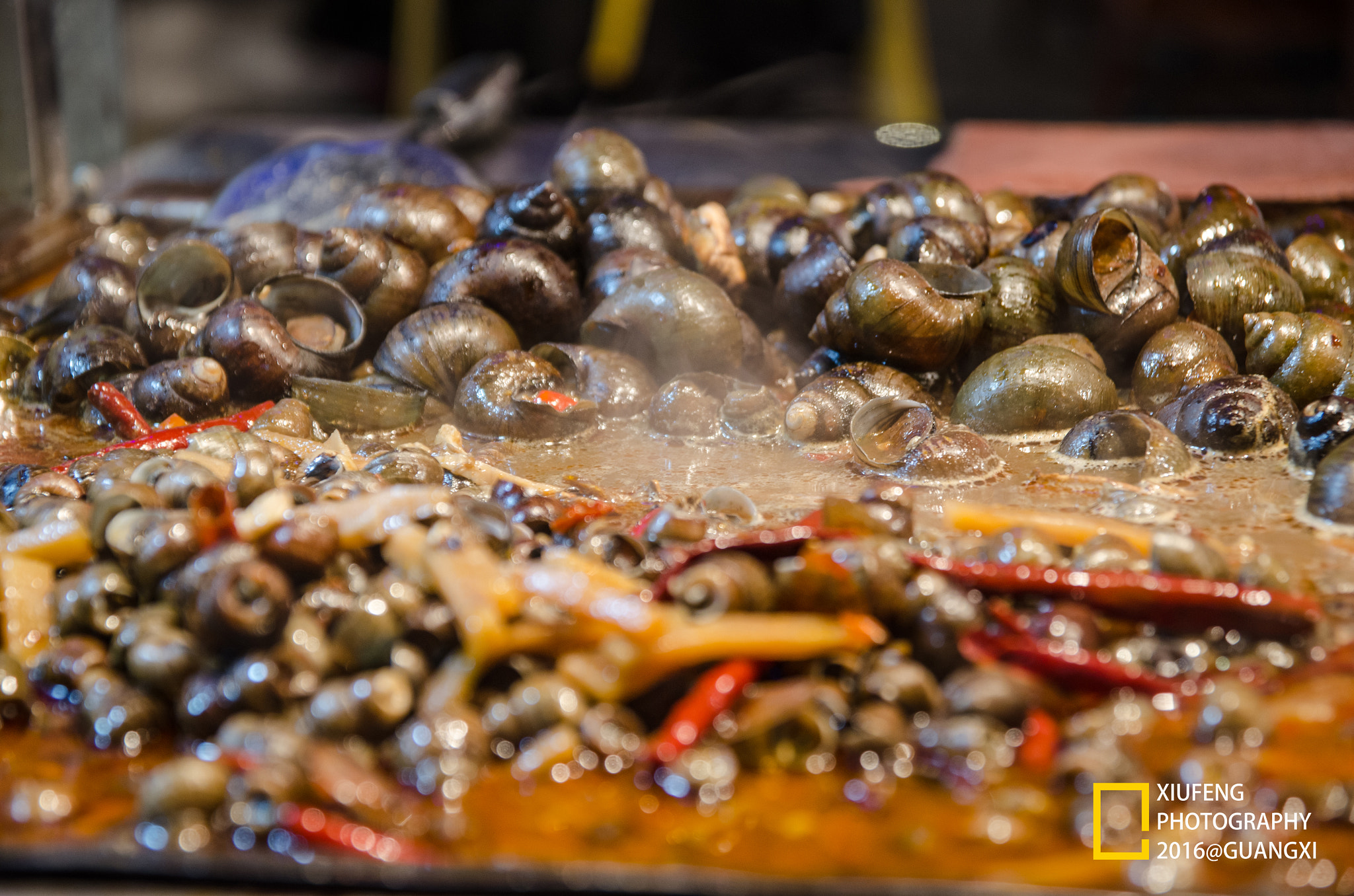 Sigma 17-70mm F2.8-4 DC Macro OS HSM | C sample photo. Logo photography