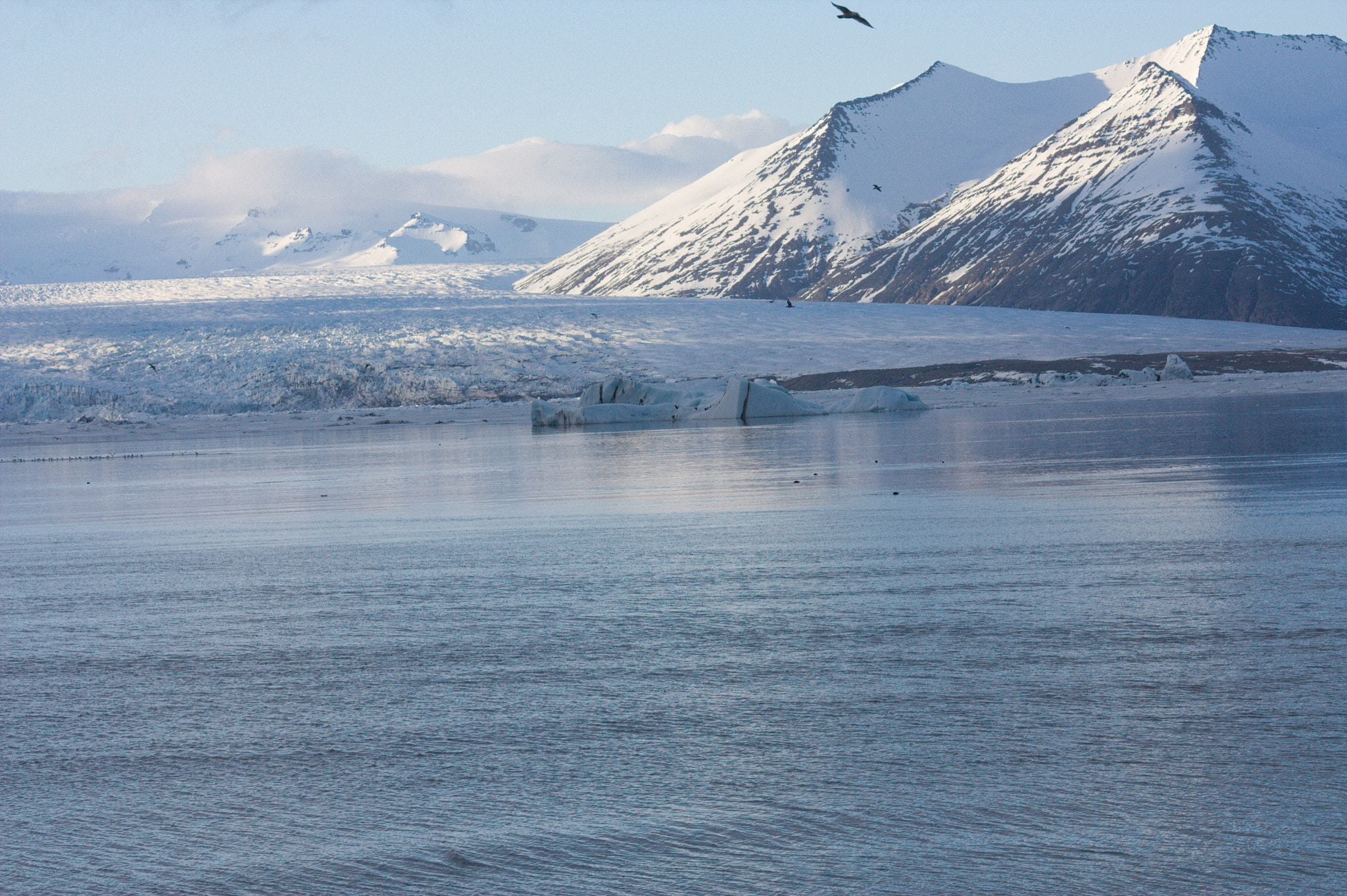 Sigma 70-300mm F4-5.6 APO DG Macro sample photo. Jökulsárlón photography