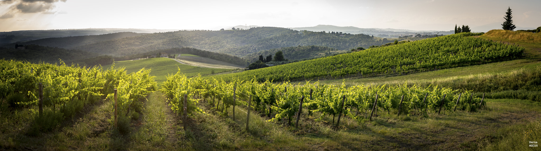 AF Zoom-Nikkor 24-120mm f/3.5-5.6D IF sample photo. Tuscany pano photography