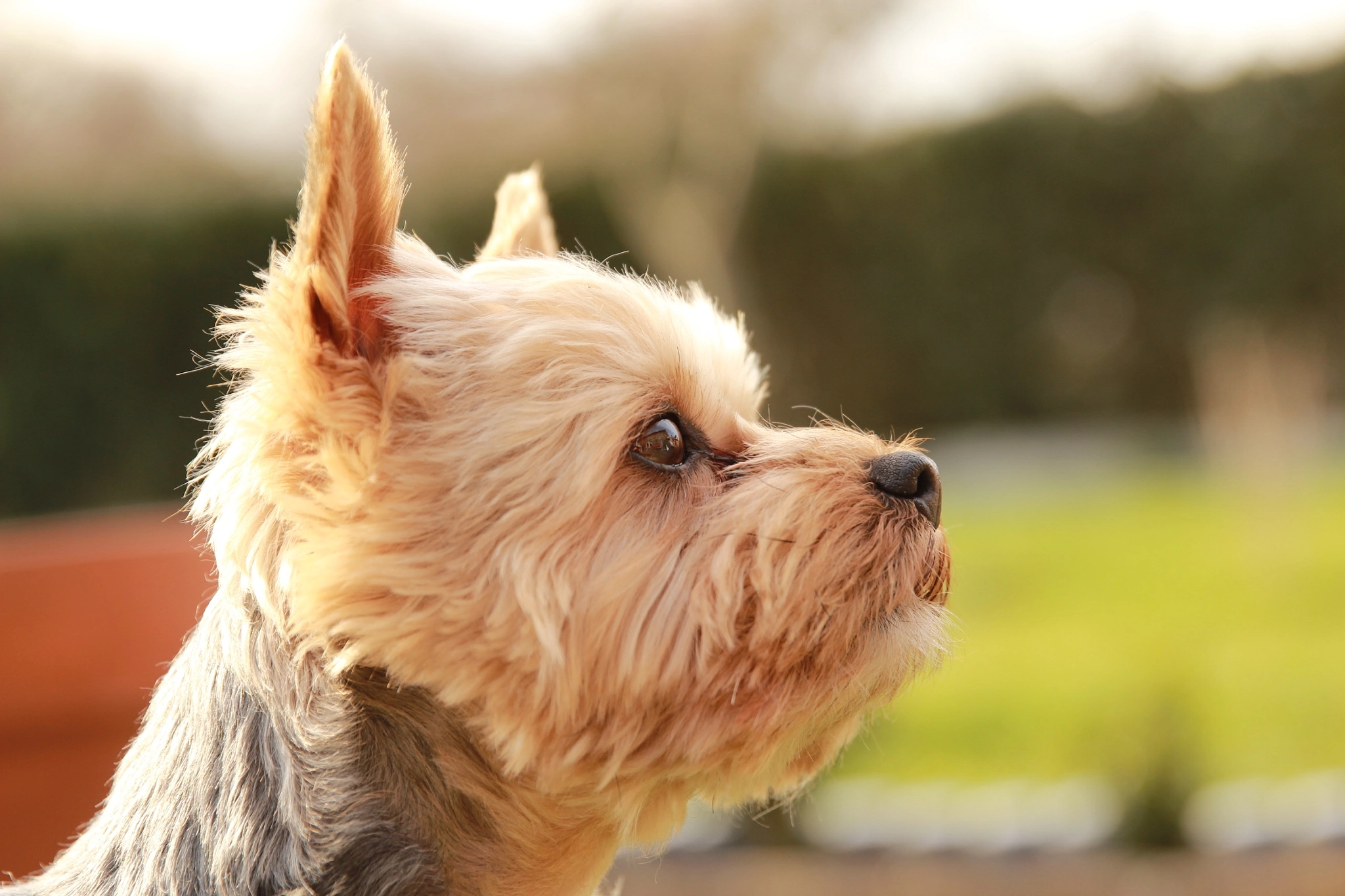 Canon EF 24-70mm F2.8L II USM sample photo