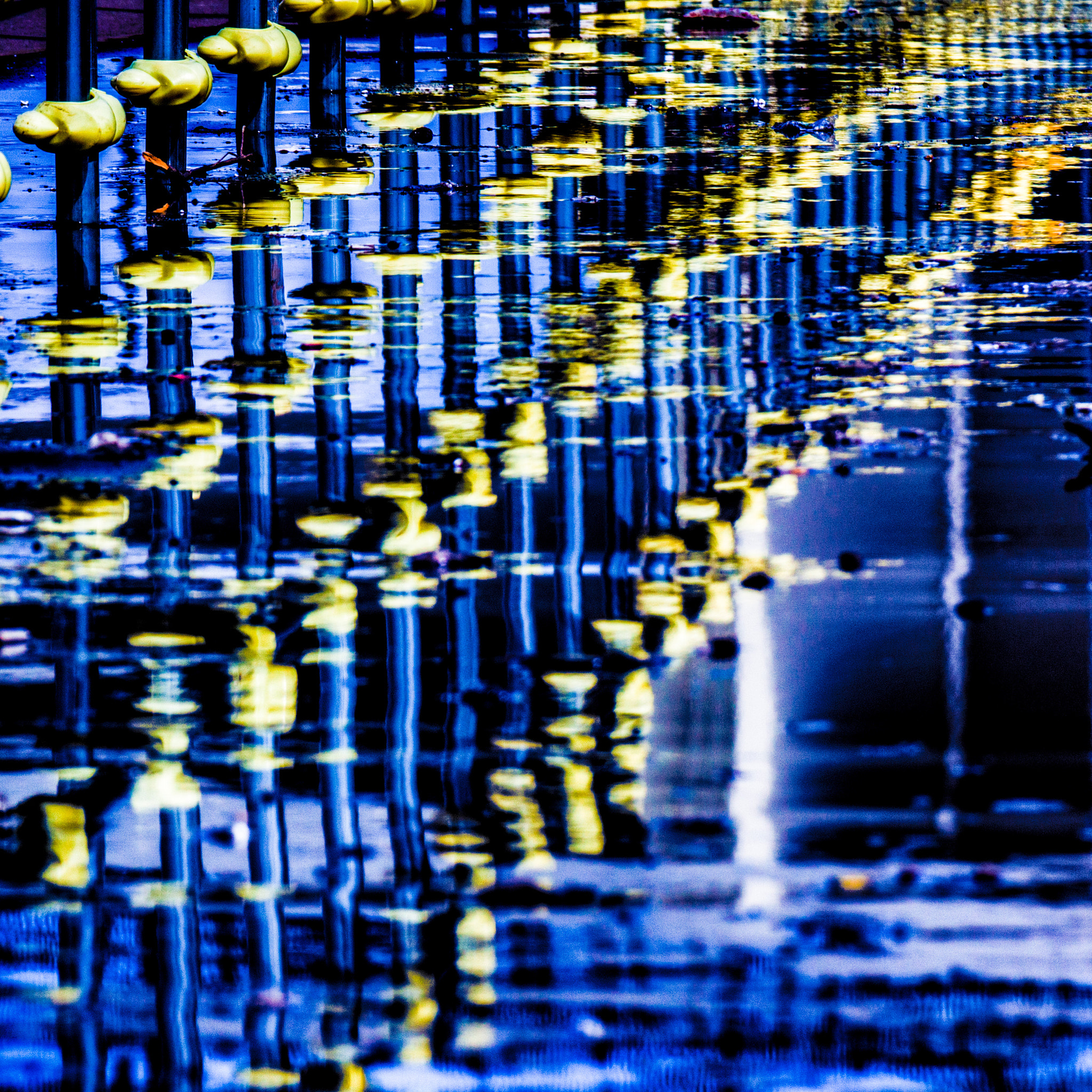 Tamron SP 70-300mm F4-5.6 Di USD sample photo. Cage ( ground and water) photography