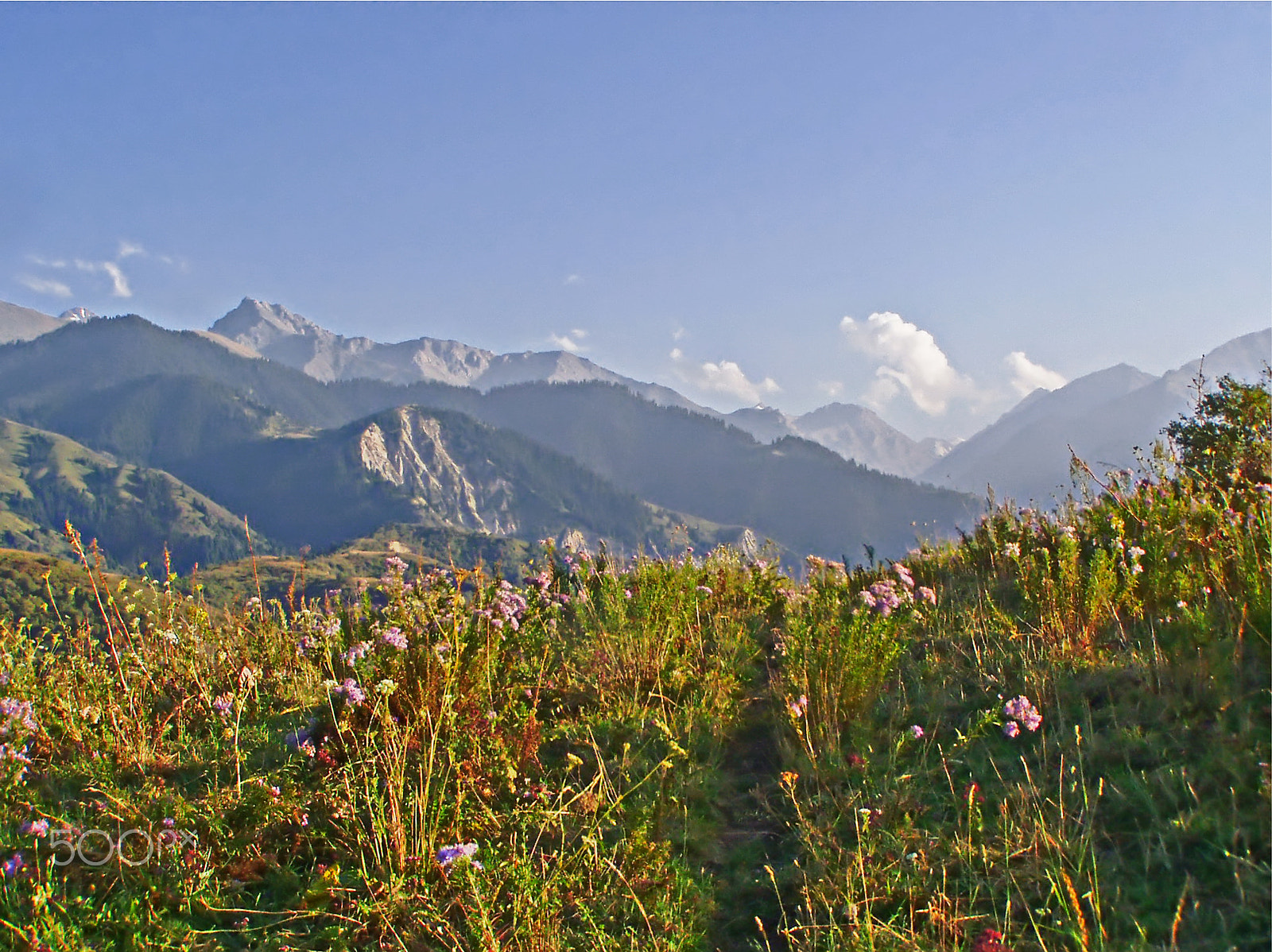 Olympus C725UZ sample photo. Mountain view in the almaty reserve. alatau mountains photography