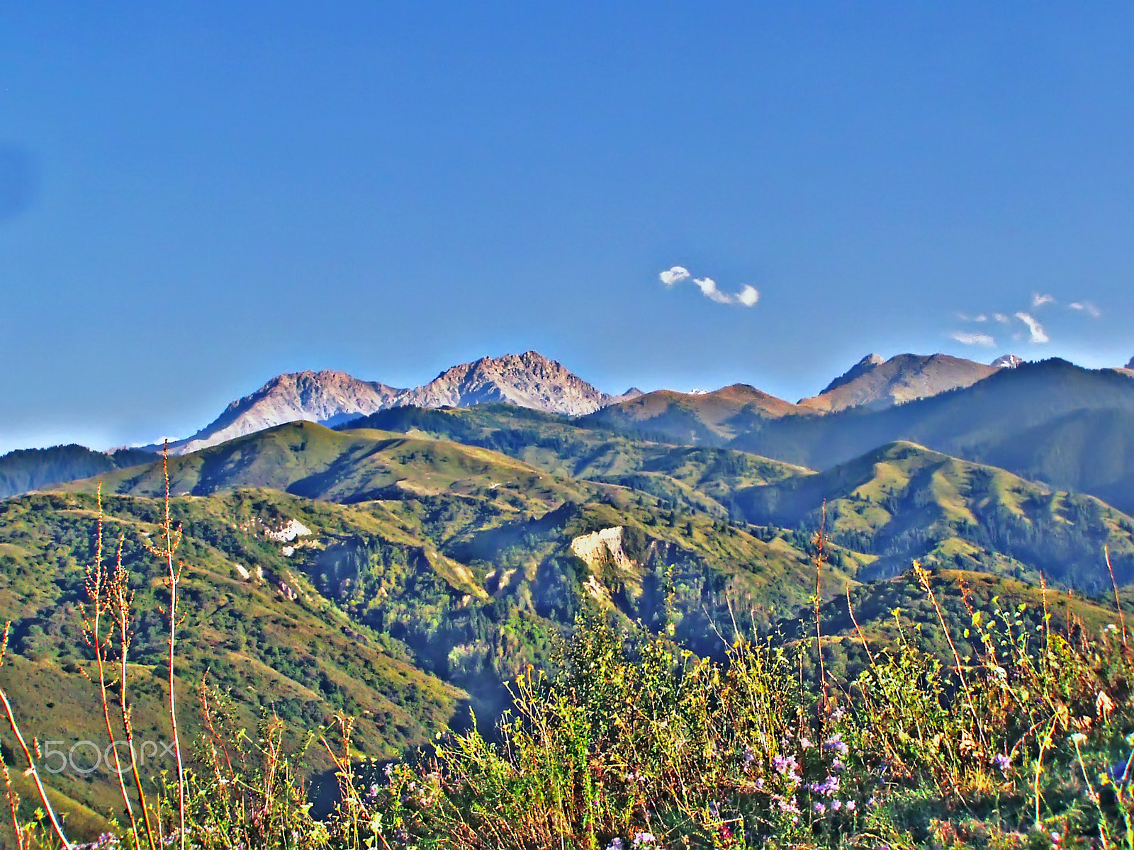 Olympus C725UZ sample photo. Mountain view in the almaty reserve. alatau mountains photography