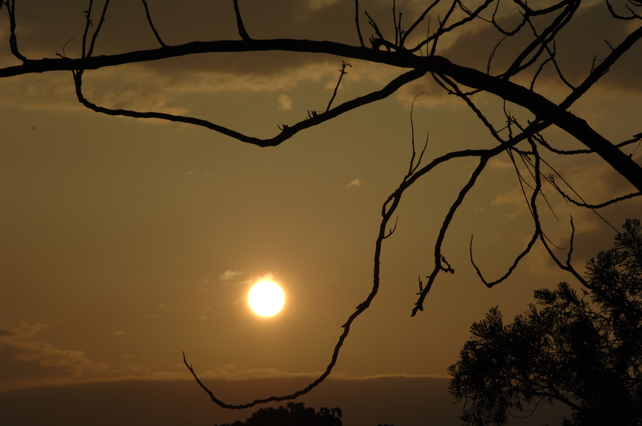 Nikon D2X sample photo. .. photography