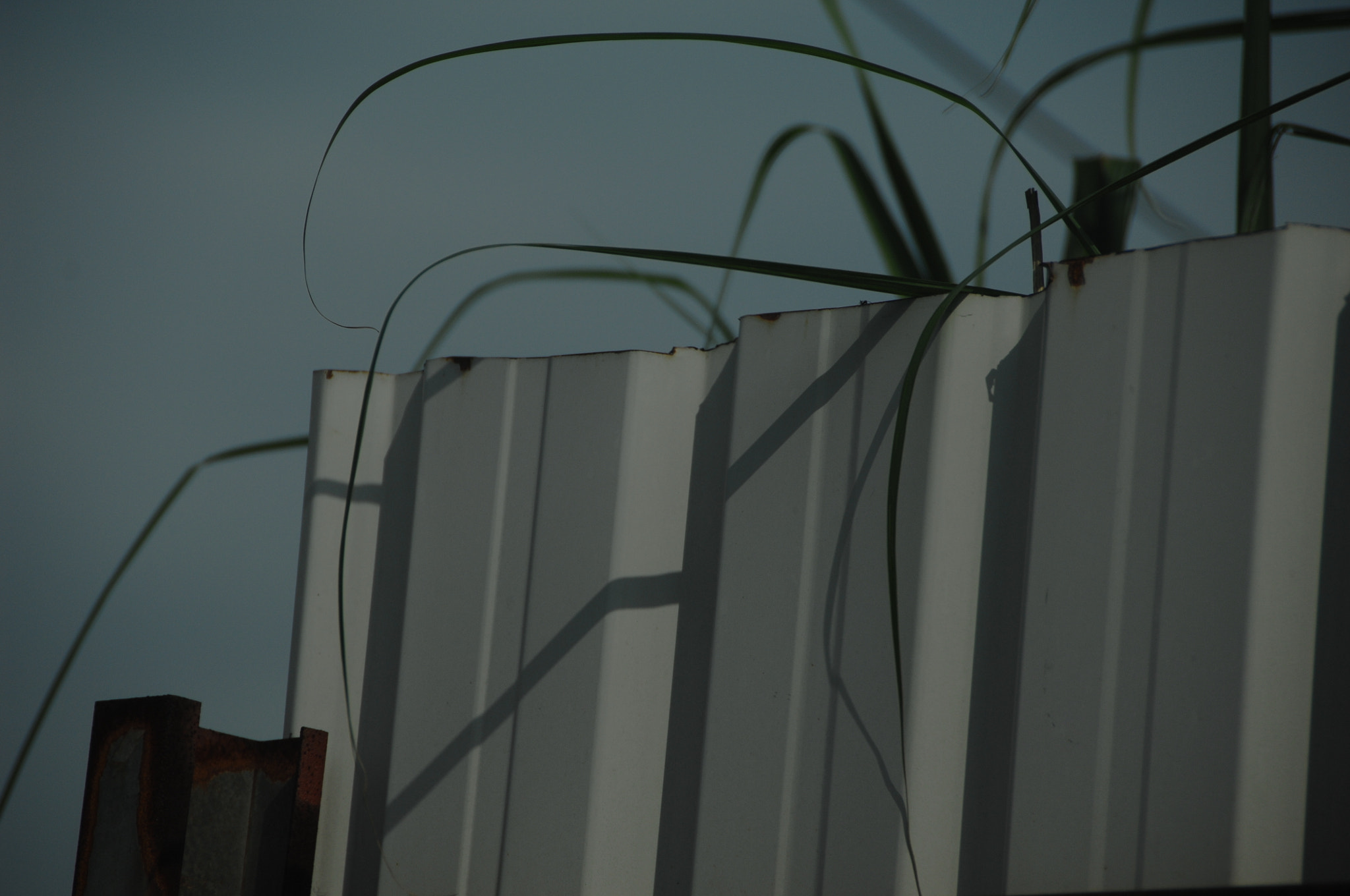Nikon D2X sample photo. .. photography