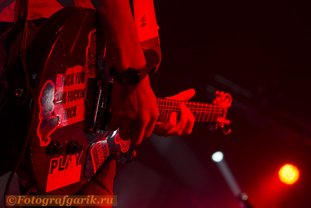 Tamron SP 24-70mm F2.8 Di VC USD sample photo. Rock concert photography