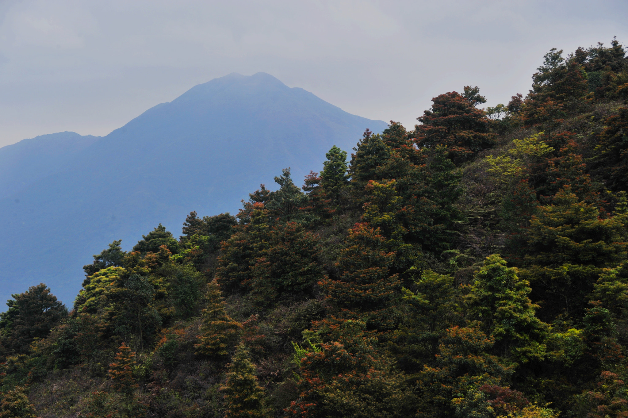 Nikon D3S sample photo. ...山... photography