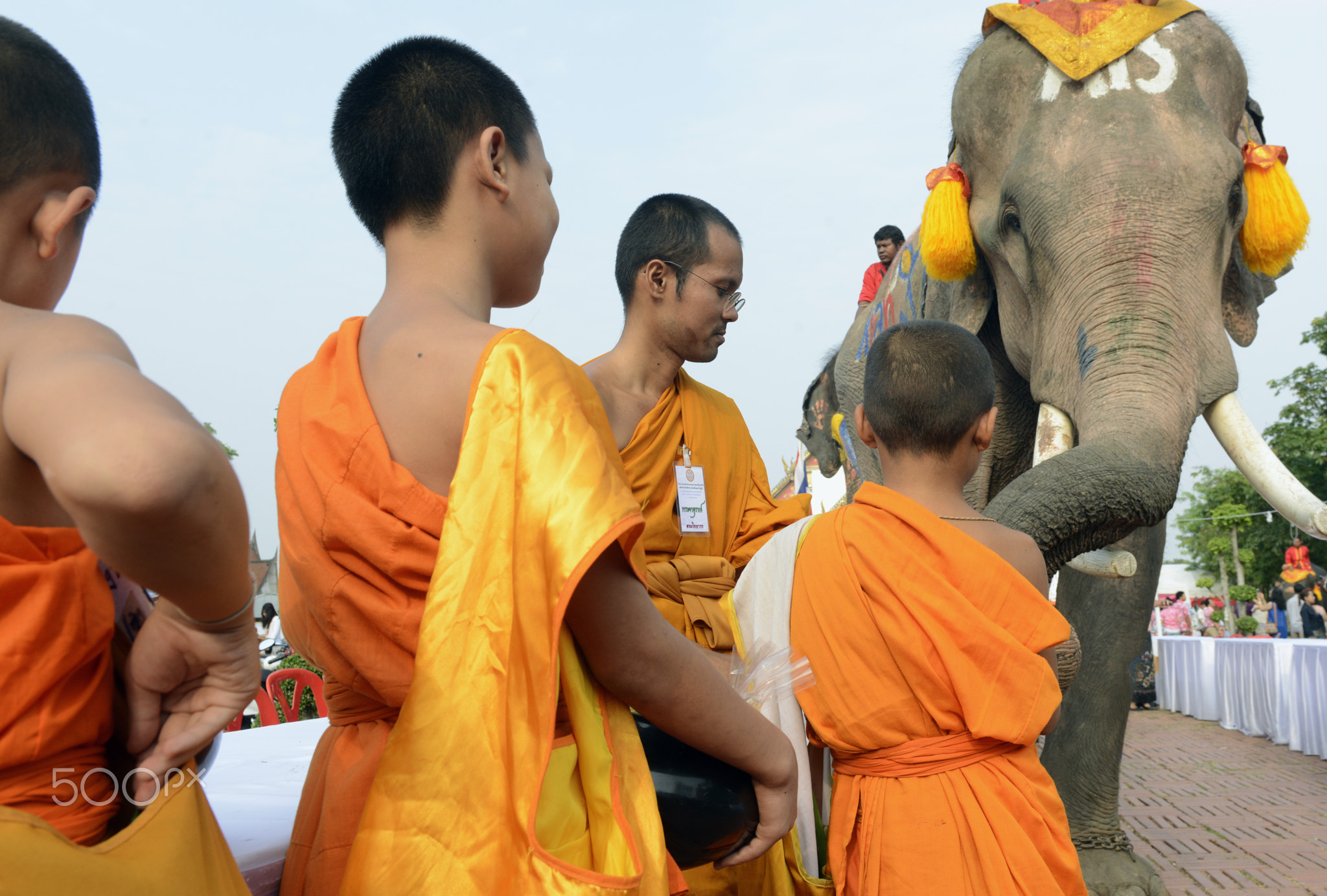 ASIA THAILAND AYUTTHAYA SONGKRAN FESTIVAL