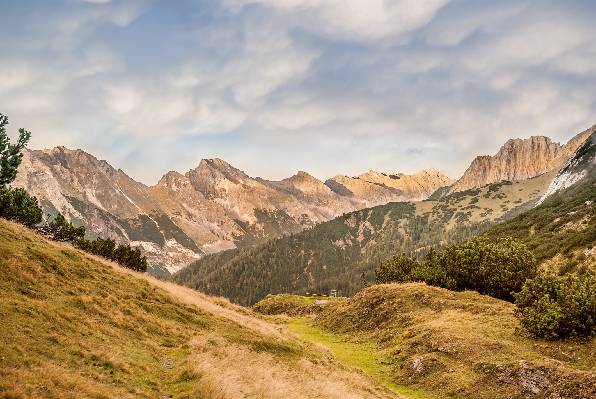 Nikon D40X sample photo. Alps photography