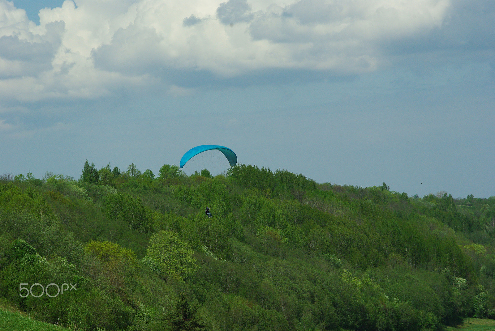 Pentax K200D sample photo. Полет photography