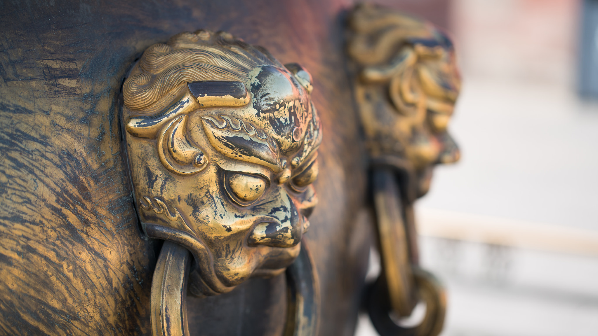 Sony a7R II + Canon EF 100mm F2.8L Macro IS USM sample photo. Forbidden city photography