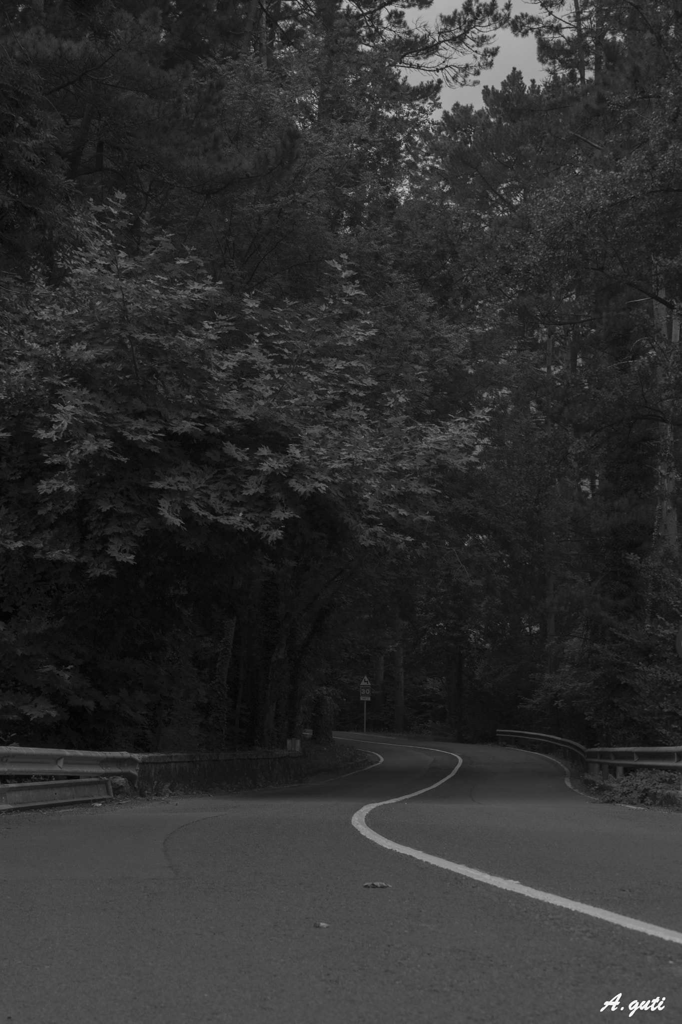 Canon EOS 1000D (EOS Digital Rebel XS / EOS Kiss F) sample photo. _mg_3613.jpg photography
