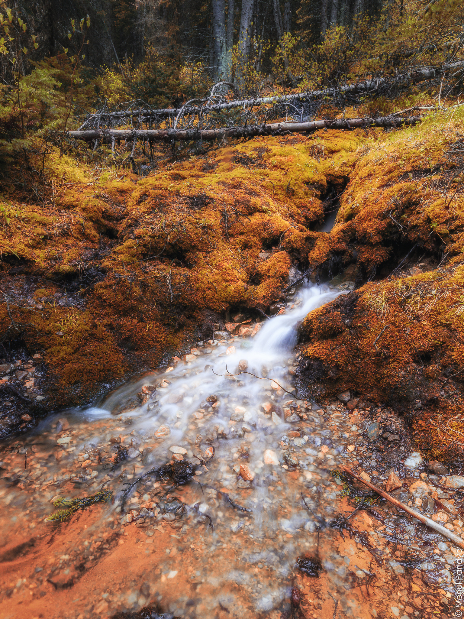 Sigma 10-20mm F4-5.6 EX DC HSM sample photo. The stream photography
