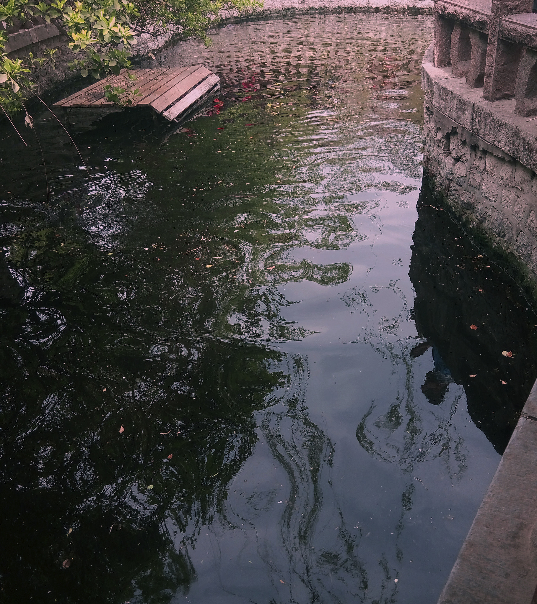 Meizu m1 sample photo. River photography