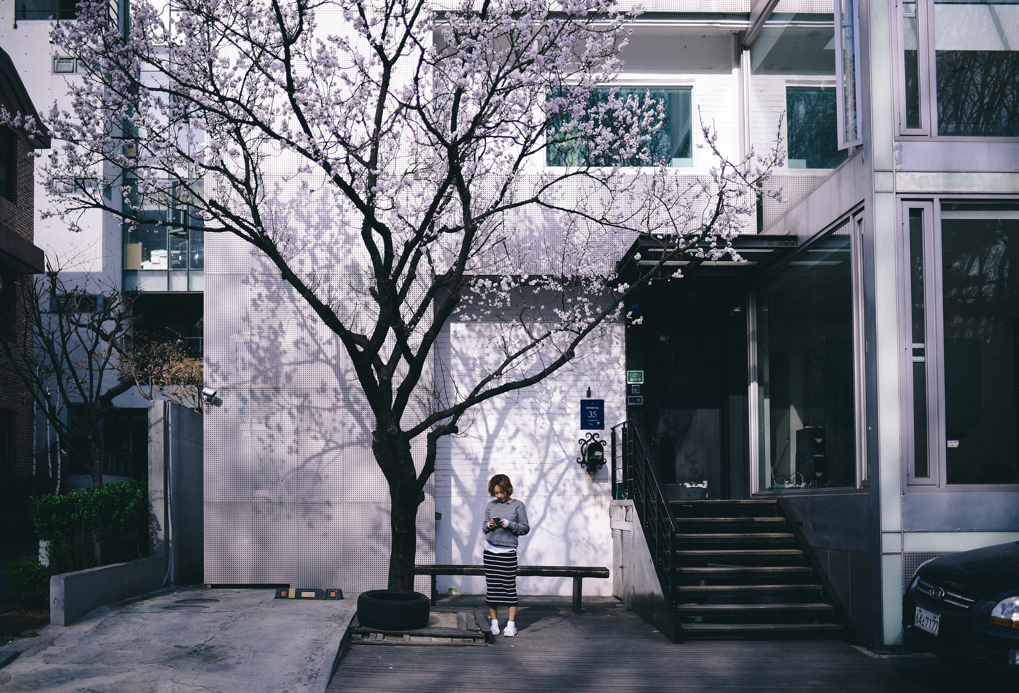Nikon D750 + AF-S Nikkor 35mm f/1.8G sample photo. Cherry blossom photography