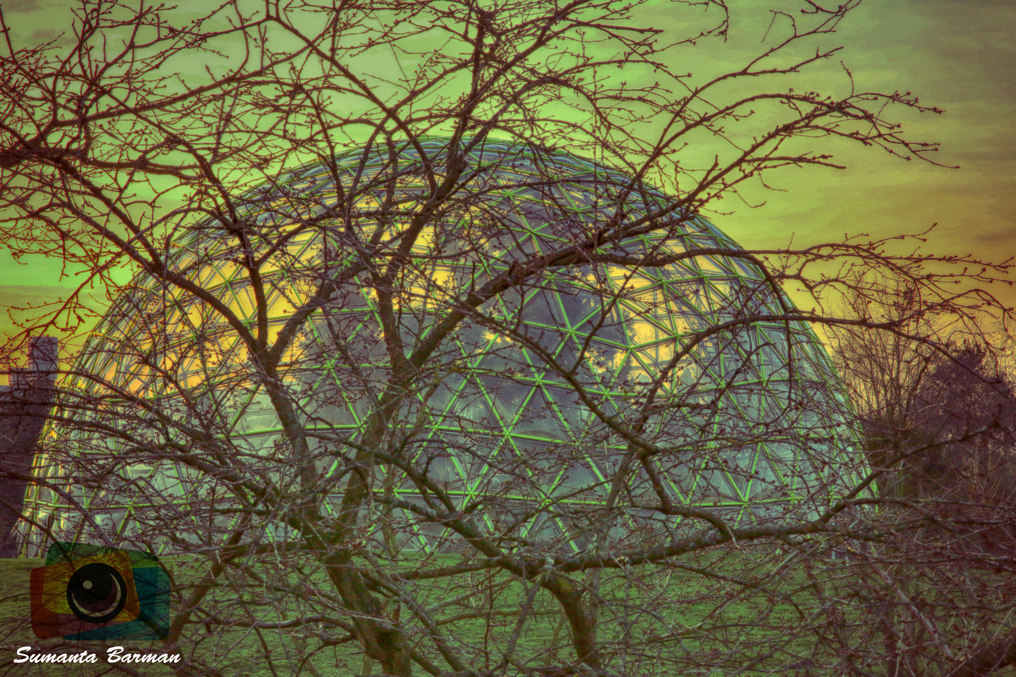 Canon EOS 70D + Canon EF 500mm F4L IS USM sample photo. Green house-hdr photography