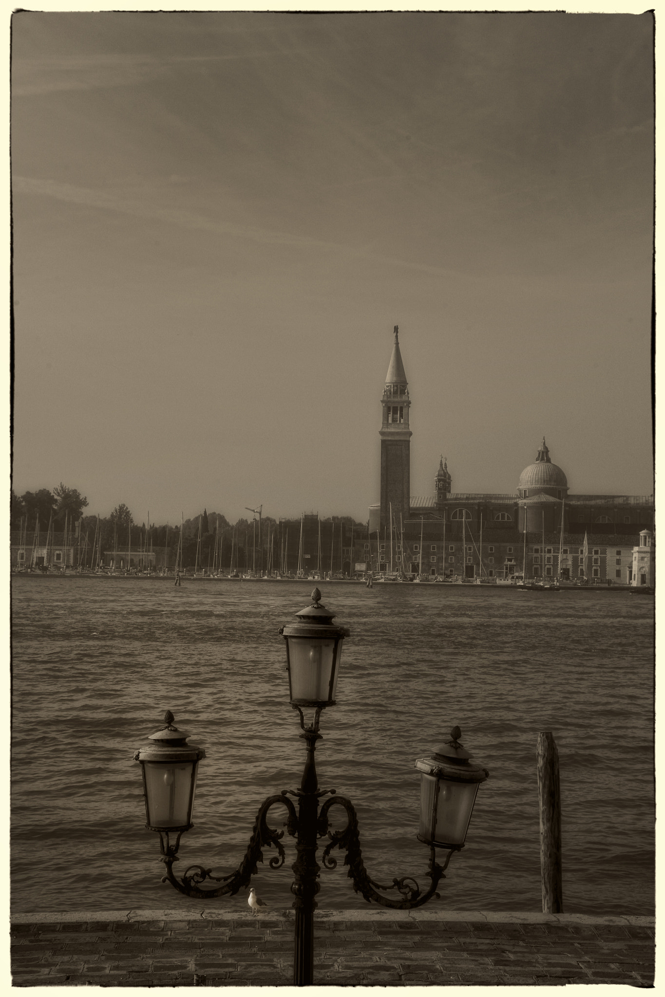 Canon EOS 5D + Tamron AF 28-300mm F3.5-6.3 XR Di LD Aspherical (IF) Macro sample photo. From venice of the shadows series, no.21 photography