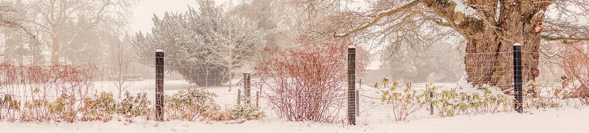 Sony a7R + Minolta AF 50mm F1.4 [New] sample photo. Garden with a fence at wintertime photography
