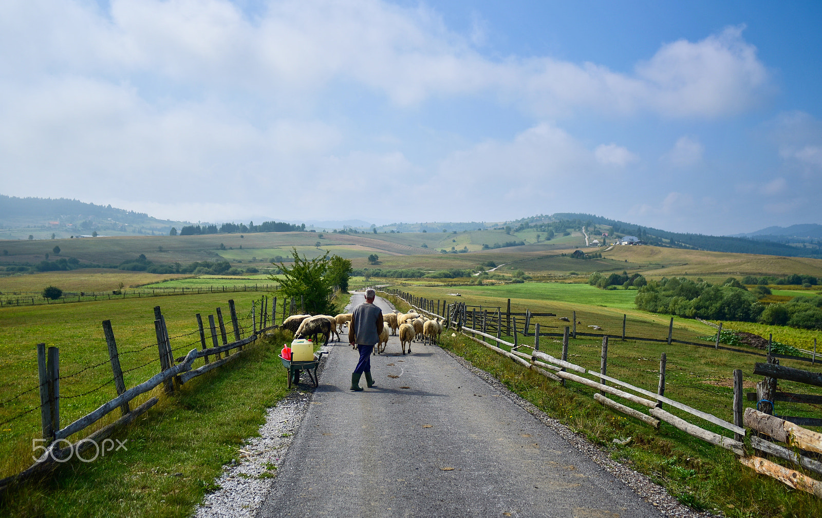 Nikon D750 + Nikon AF Nikkor 28mm F2.8D sample photo. Shepherd with sheeps.jpg photography