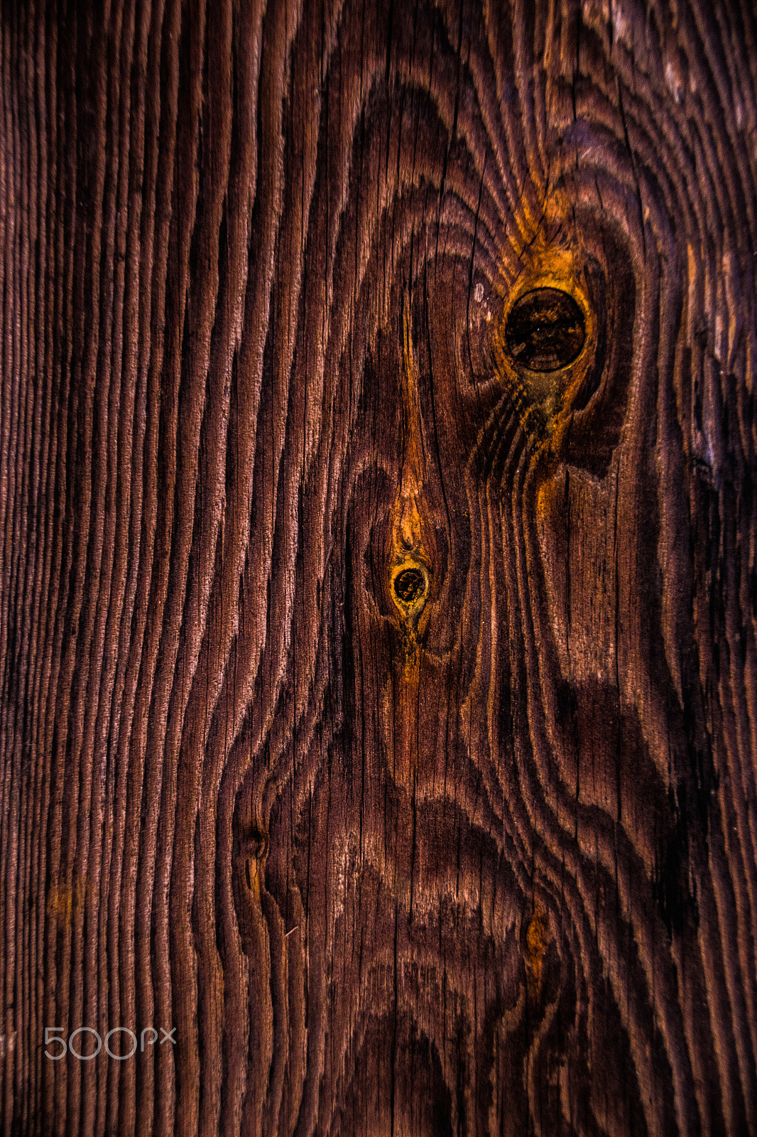 Sigma 18-250mm F3.5-6.3 DC Macro OS HSM sample photo. Wood photography