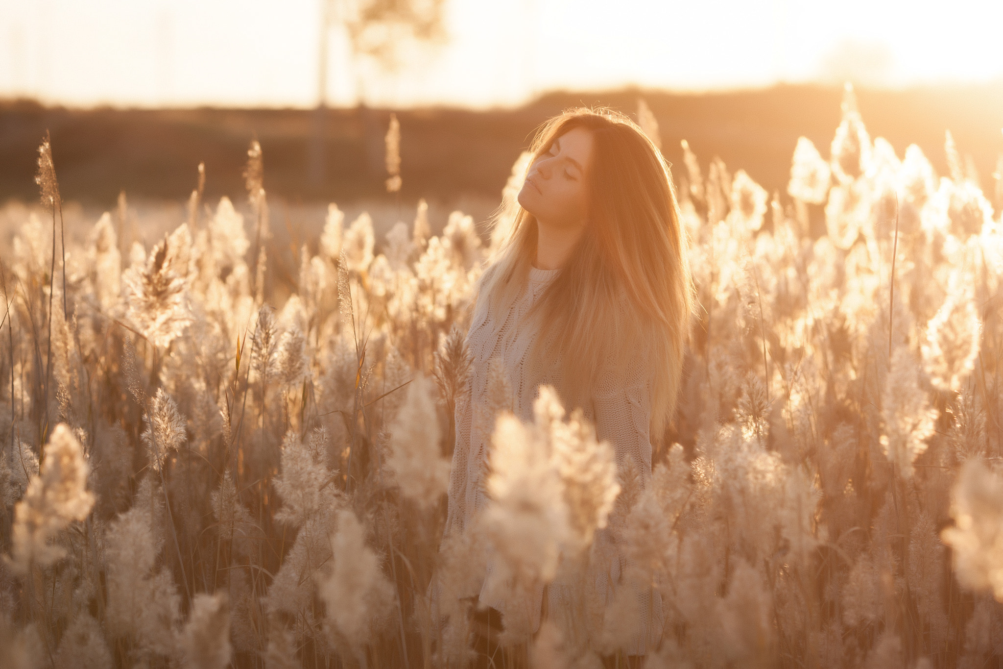 Canon EOS-1Ds Mark III + Canon EF 135mm F2L USM sample photo. Daria photography