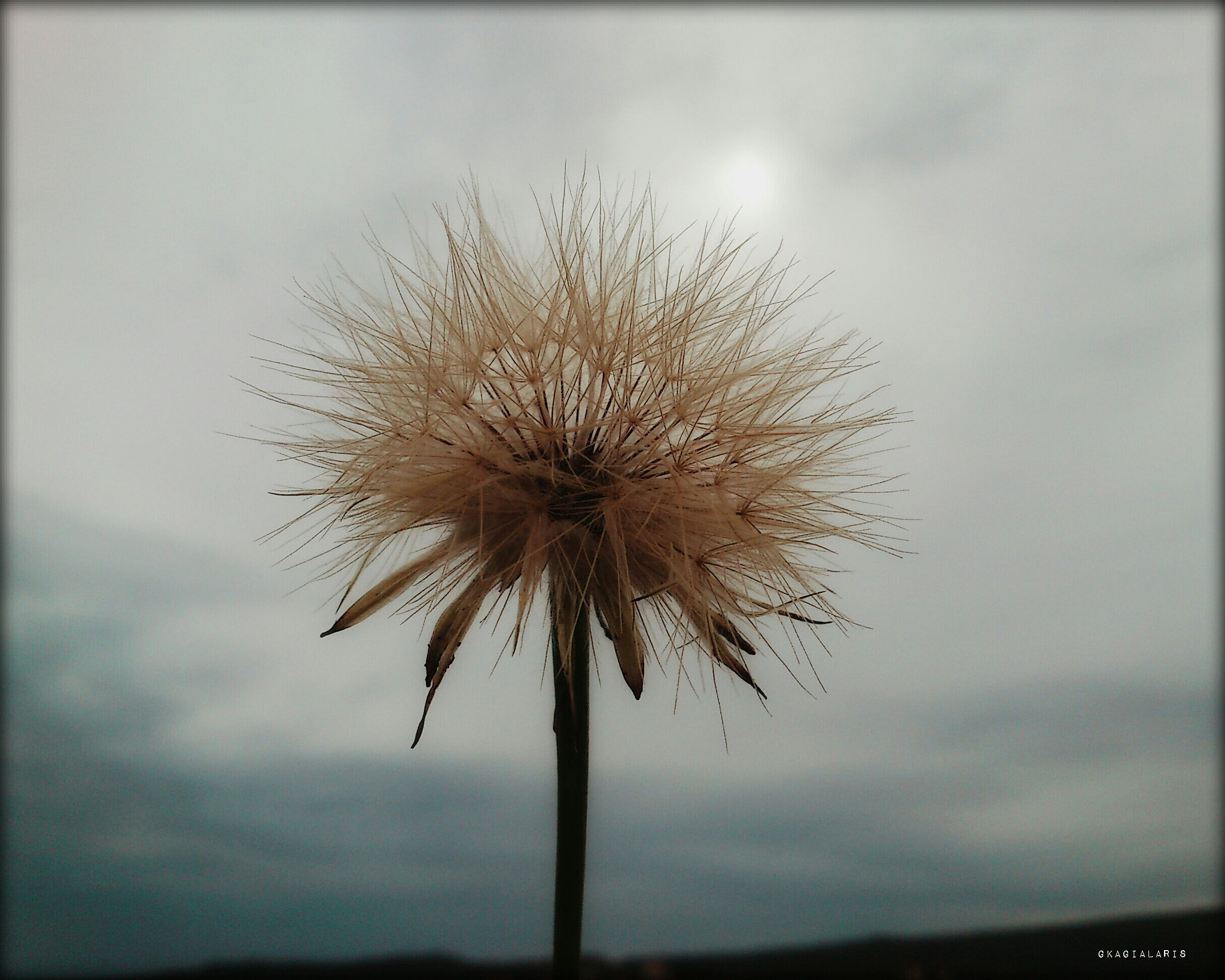 Sony Ericsson Xperia mini sample photo