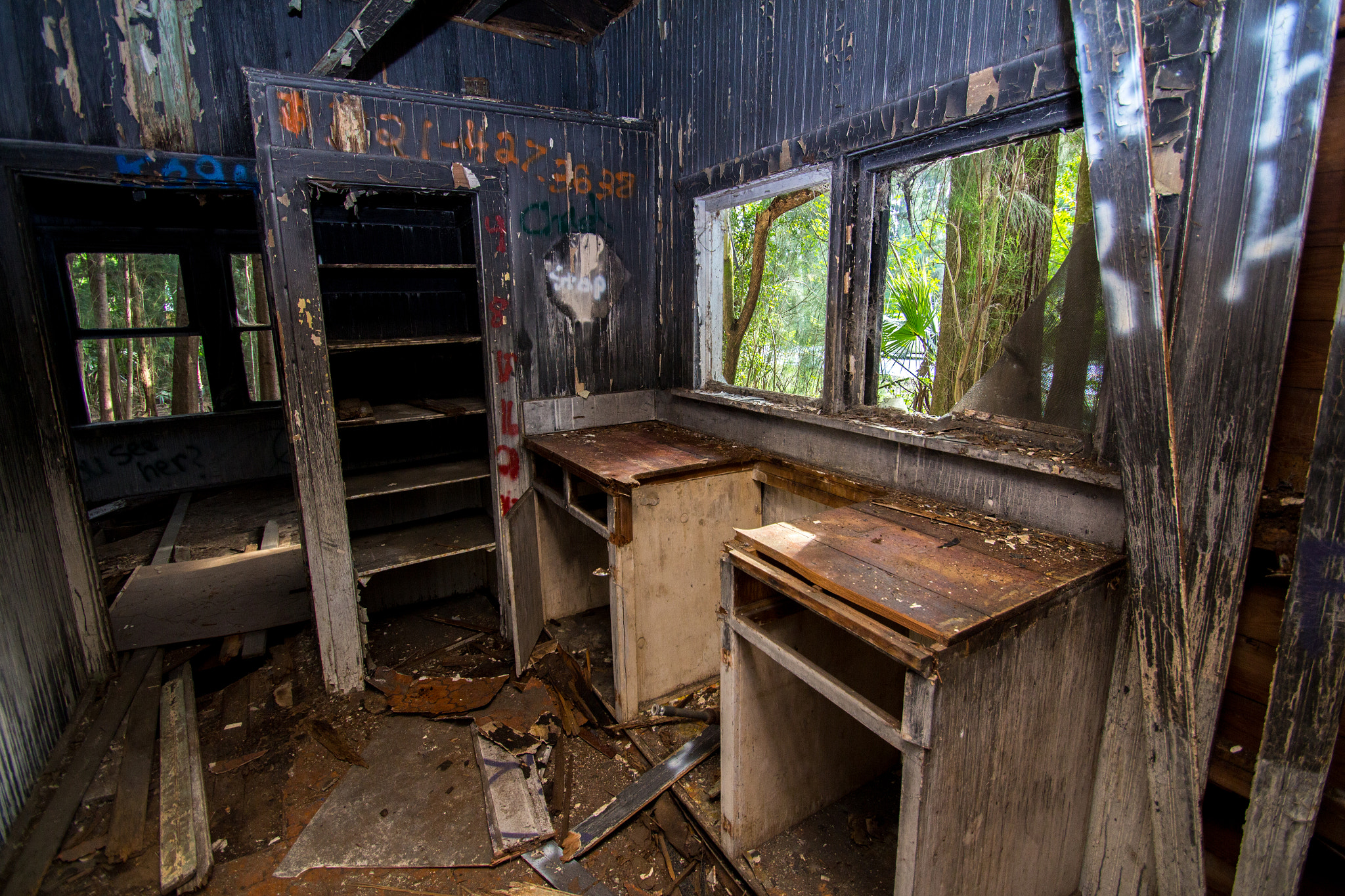 Sigma 10-20mm F3.5 EX DC HSM sample photo. Who is hungry? photography