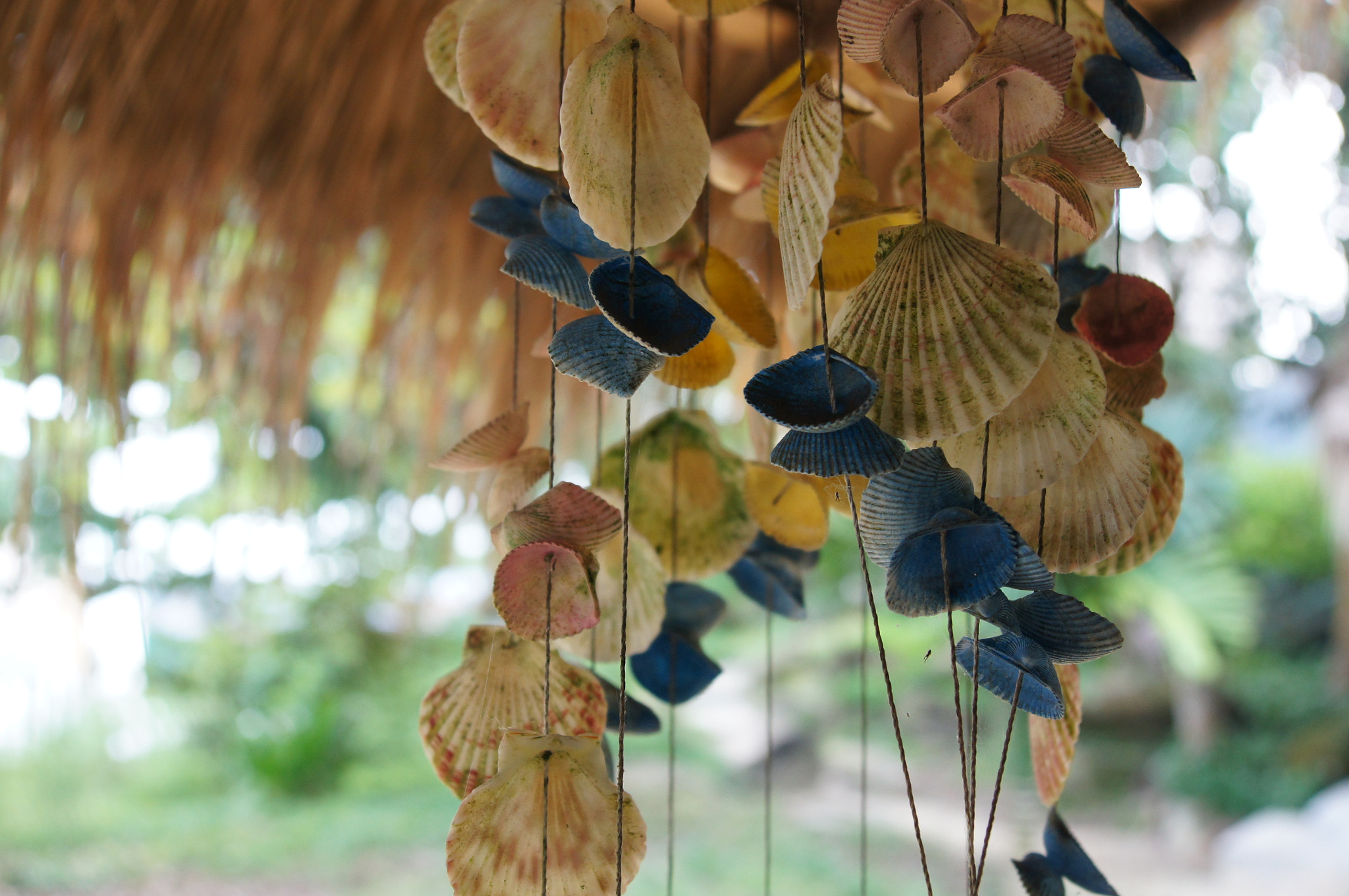 Sony Alpha DSLR-A580 sample photo. Koh rong island photography