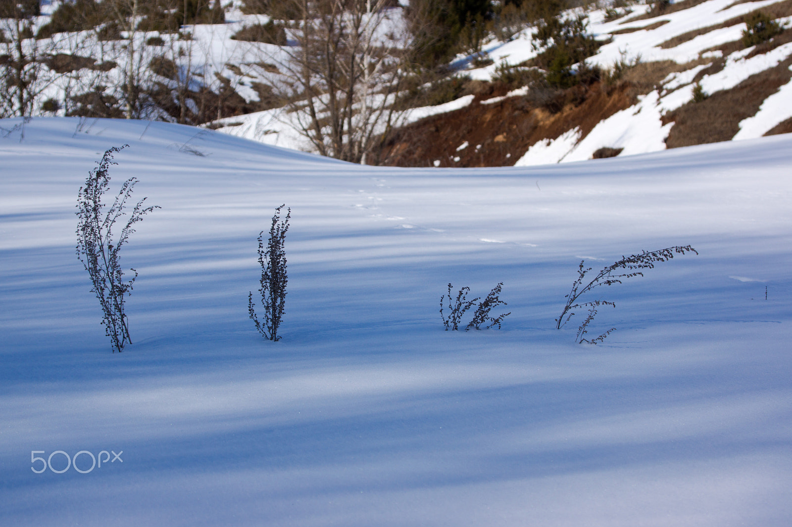 Sony SLT-A77 + Minolta AF 28-135mm F4-4.5 sample photo. Four photography