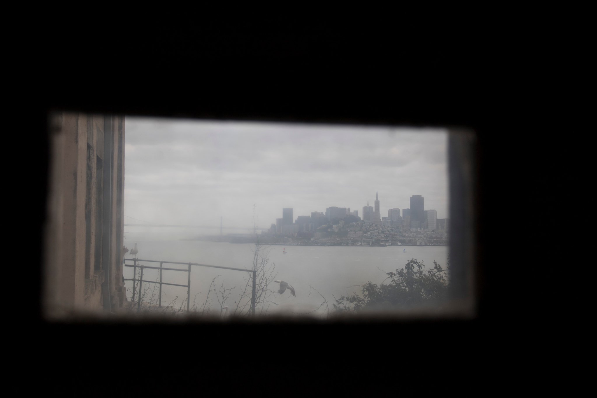 Canon EOS 760D (EOS Rebel T6s / EOS 8000D) sample photo. Alcatraz's view photography