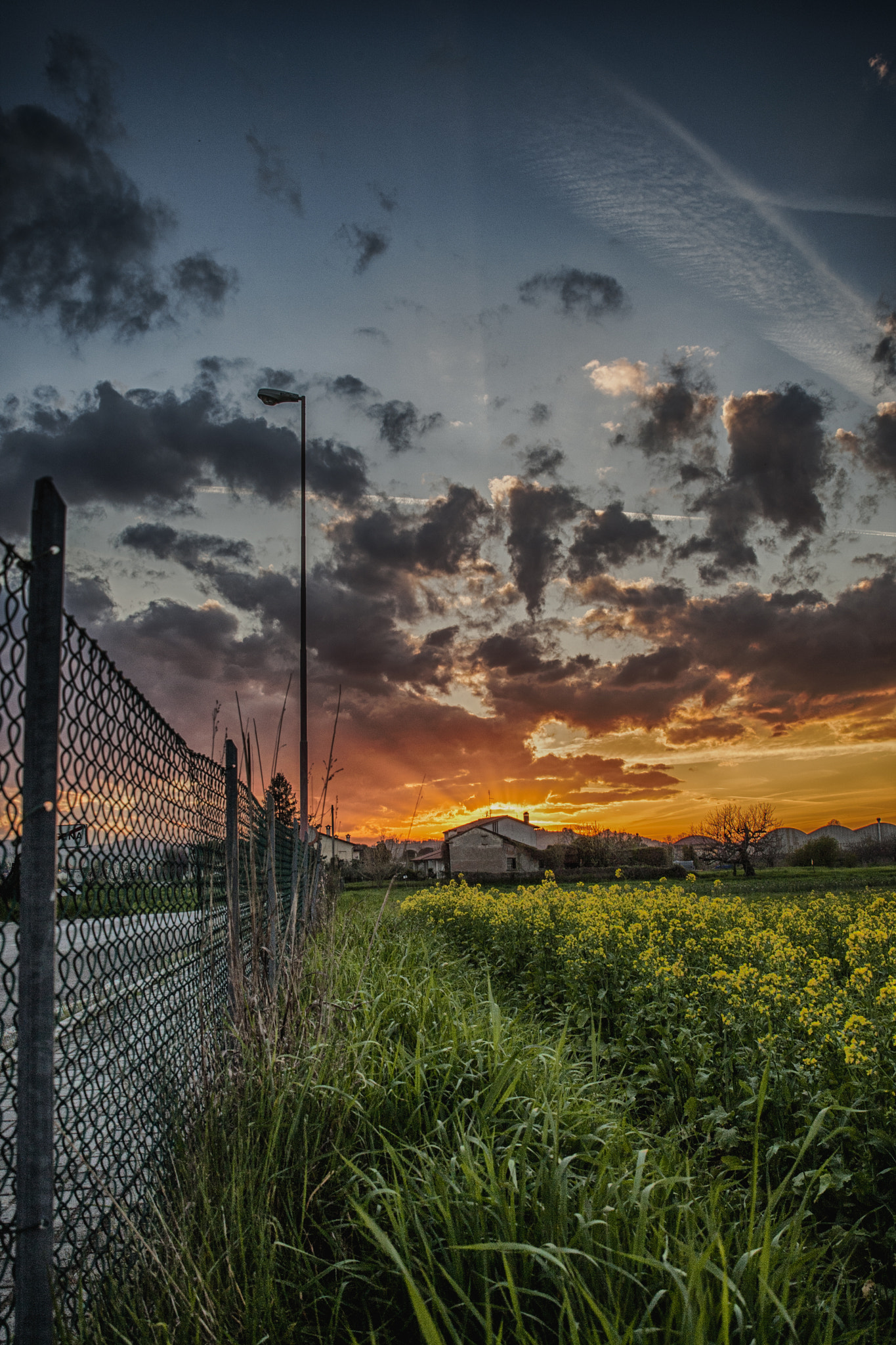 Canon EOS-1D Mark III sample photo. Cesena (italia) photography